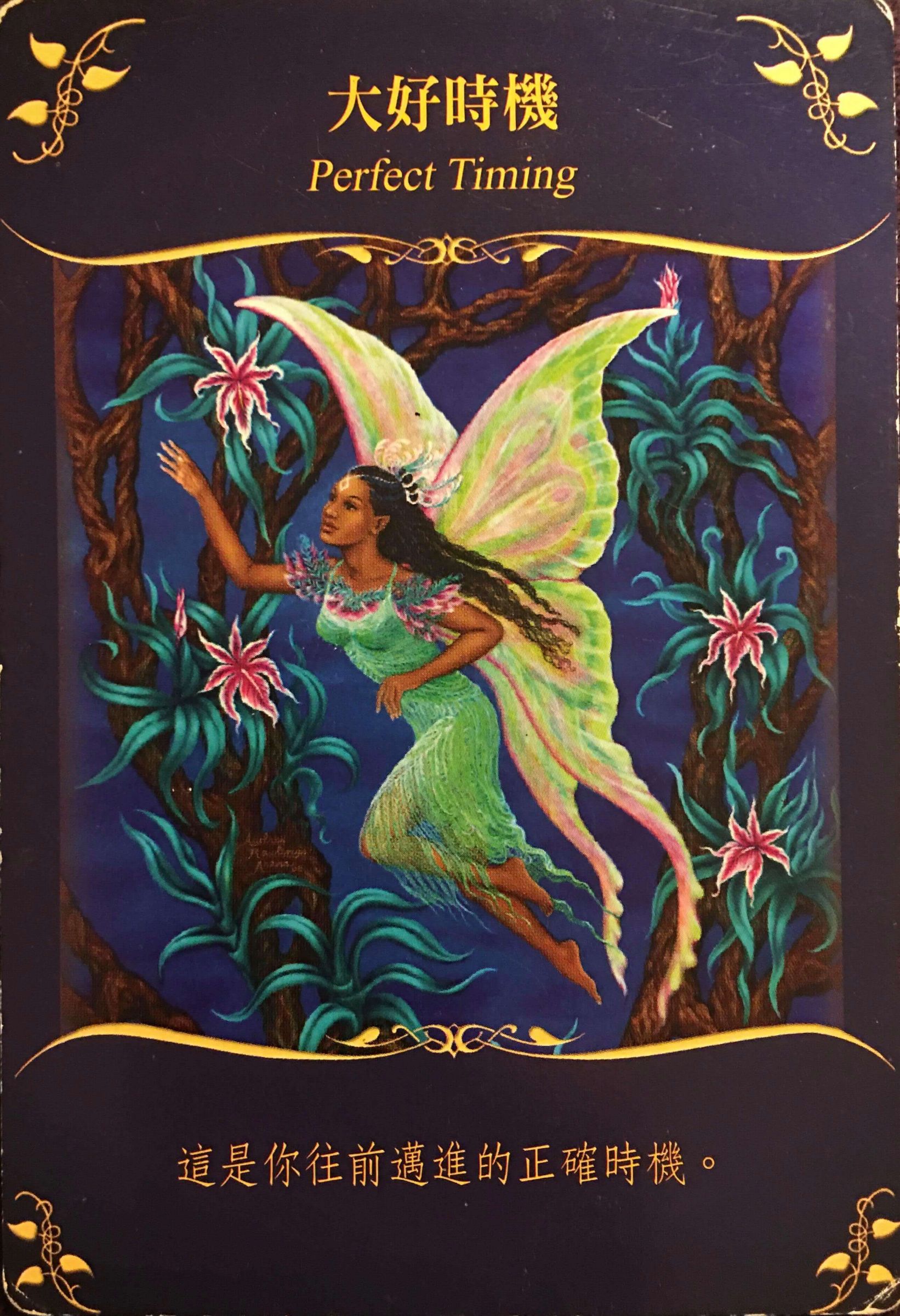 每週占卜/本週適合定目標!抽一張牌 測最近「該採取的行動」?