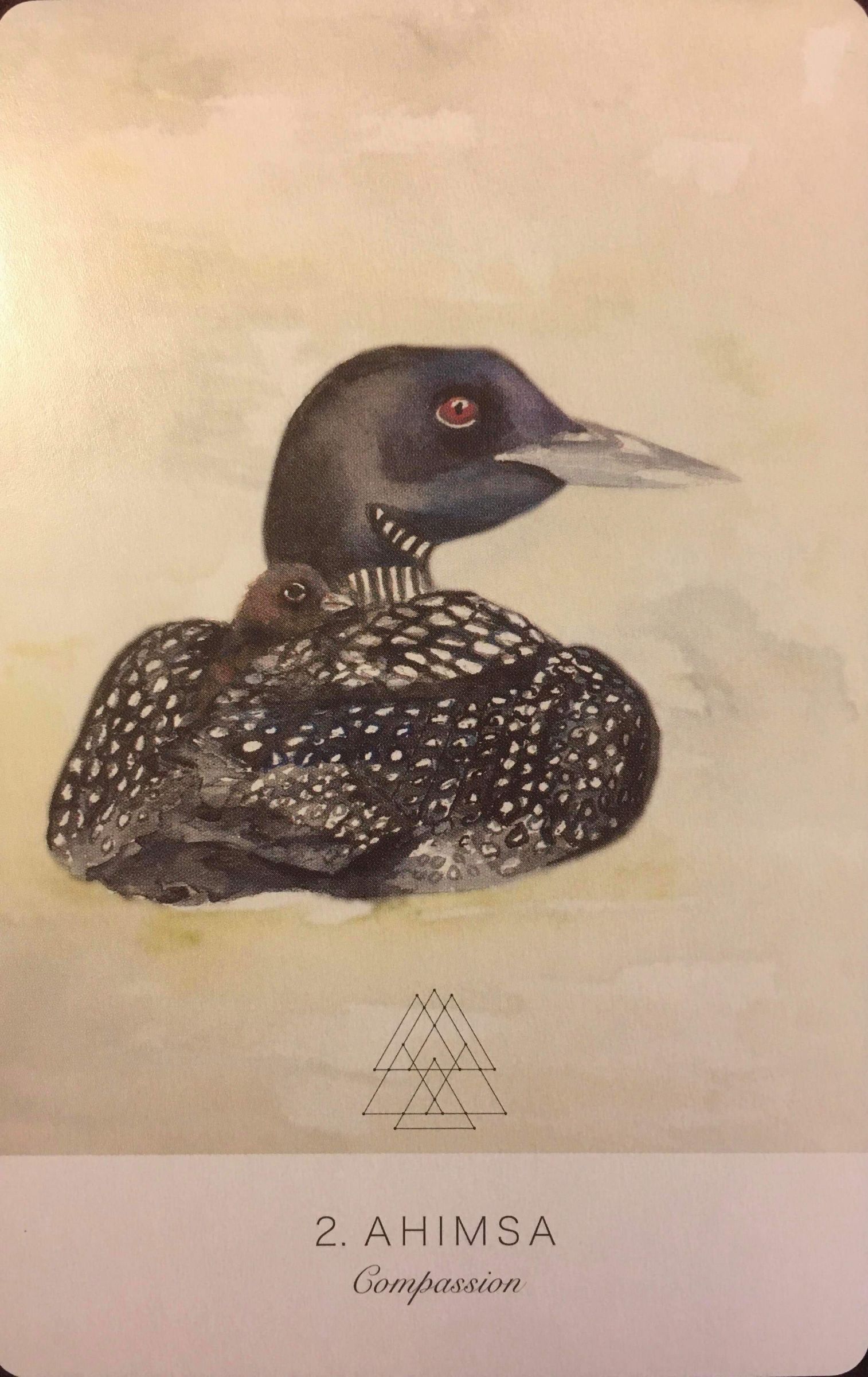 每週占卜/抽一張牌 測年底前該如何「調整身心狀態」?