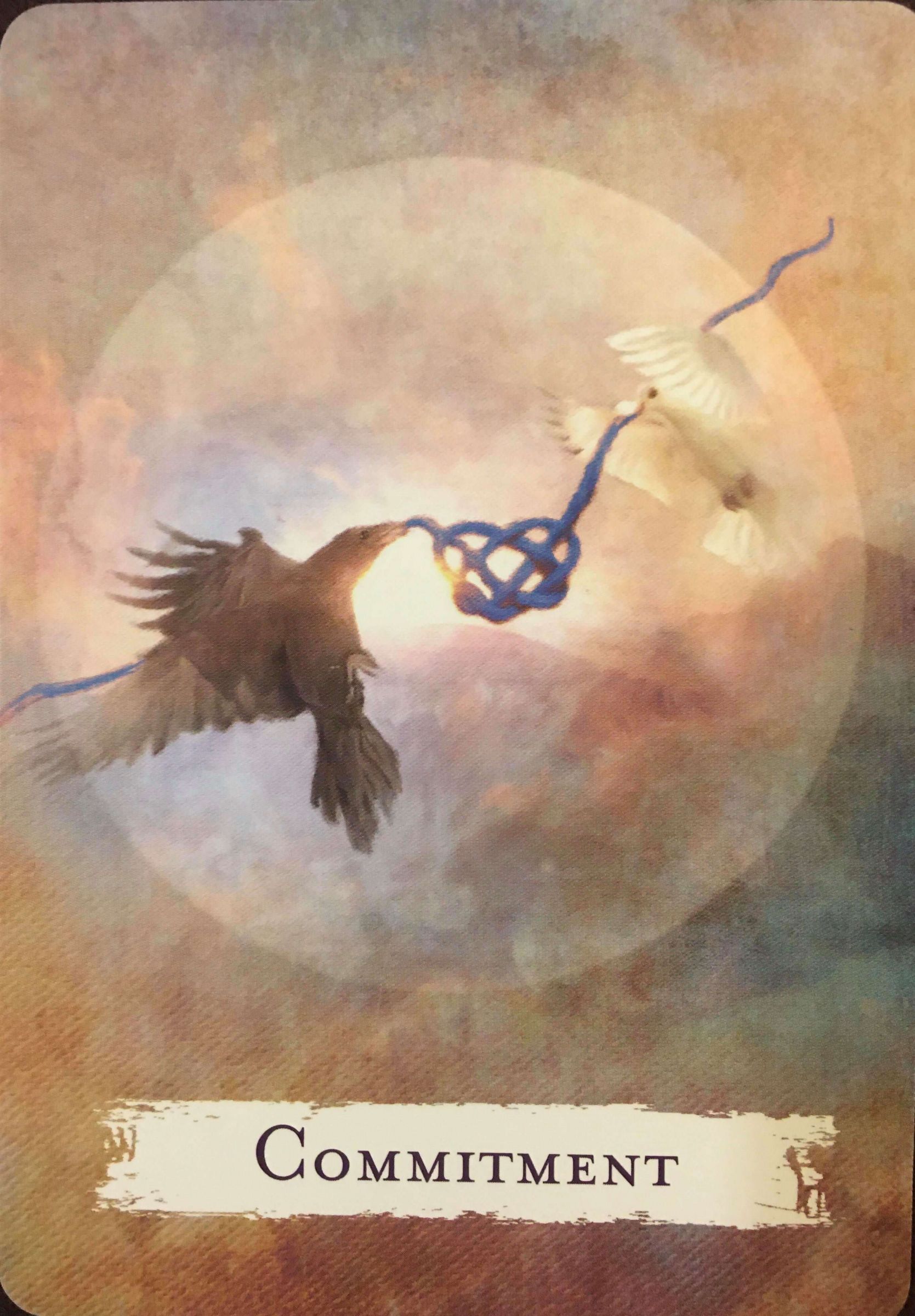 每週占卜/抽一張牌 測三個月內「如何達成目標」?