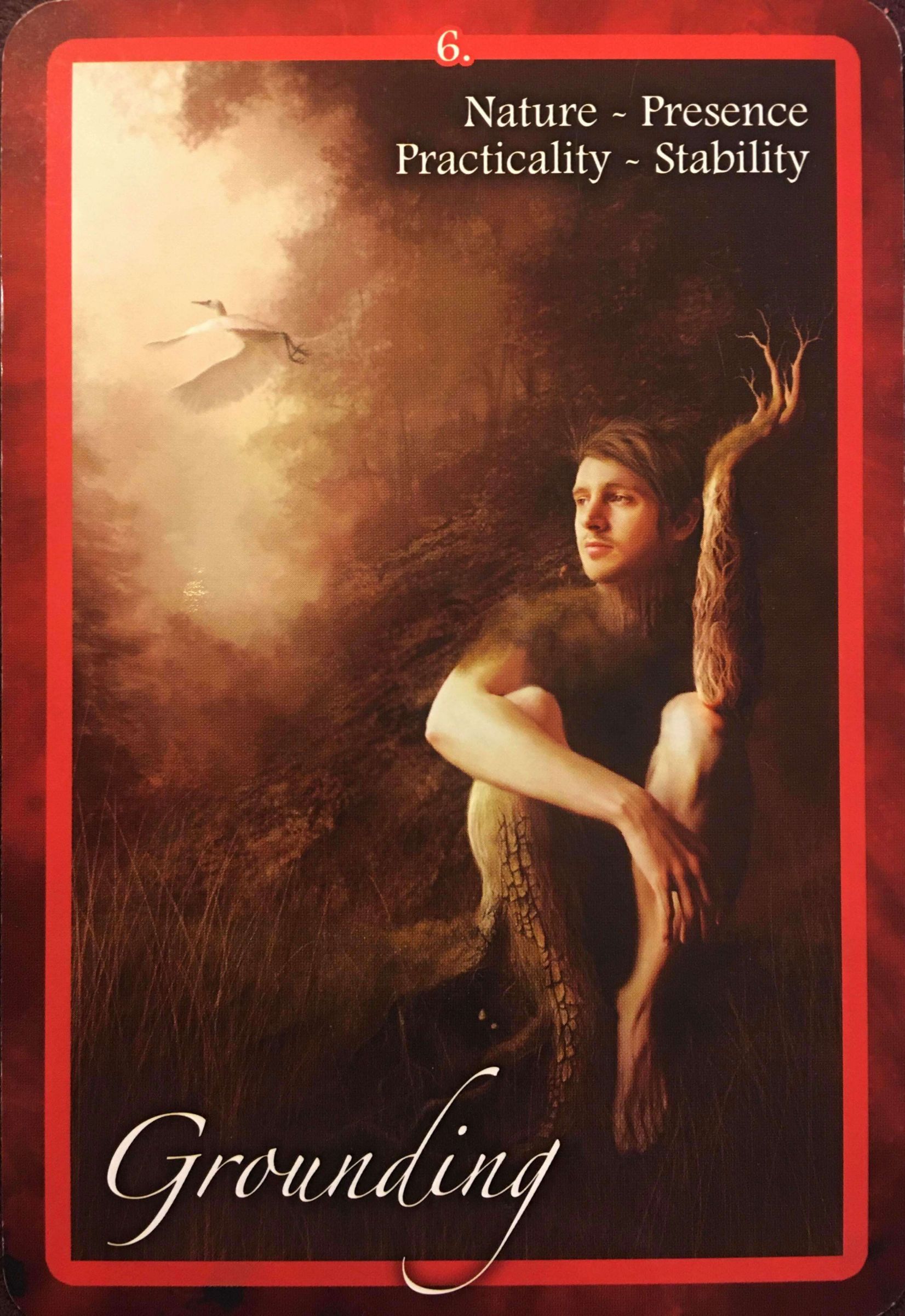 每週占卜/選一朵花 測未來三個月「該如何照顧自己」?