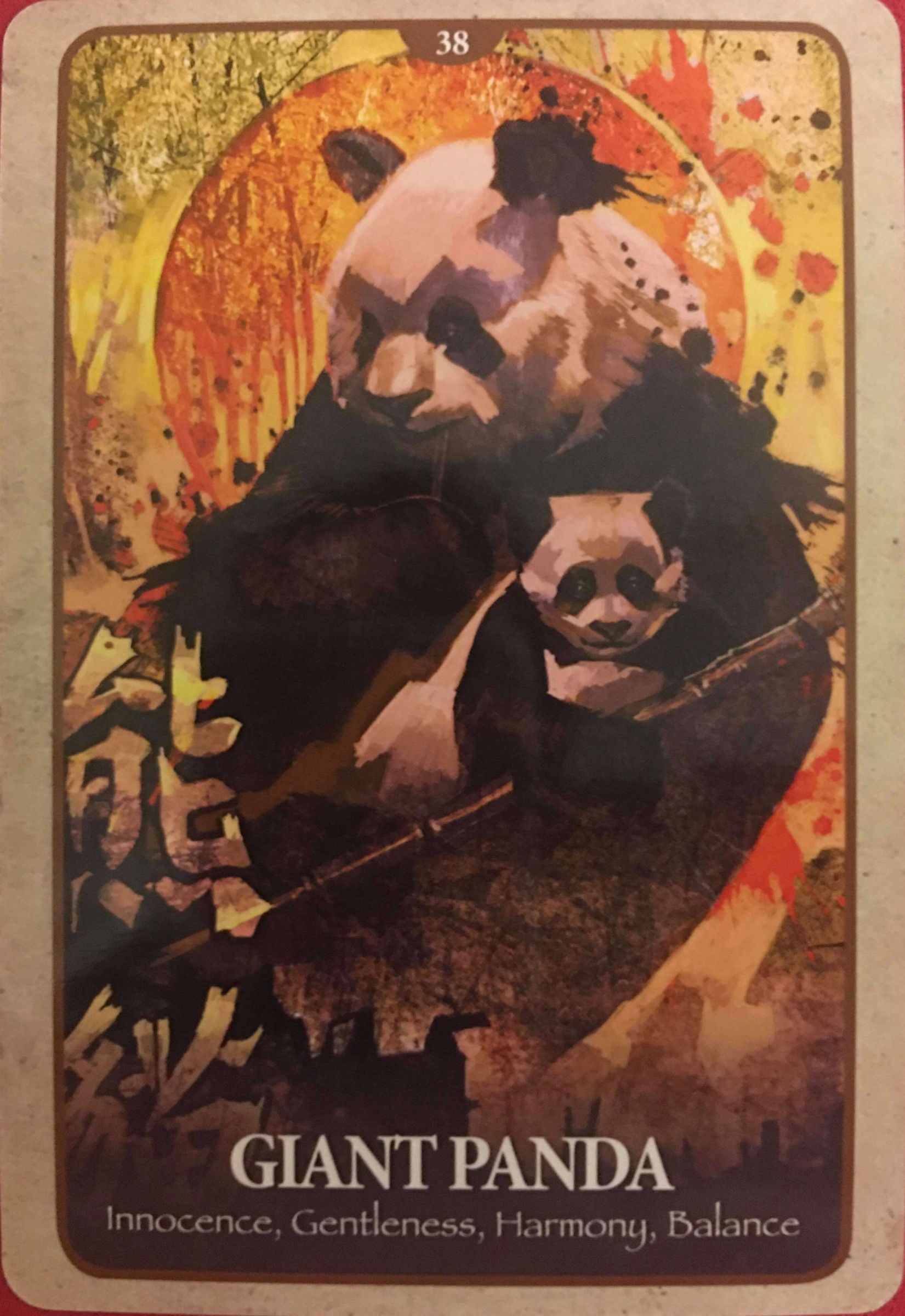 每週占卜/新年新氣象!測力量動物「送我的2021年關鍵詞」?