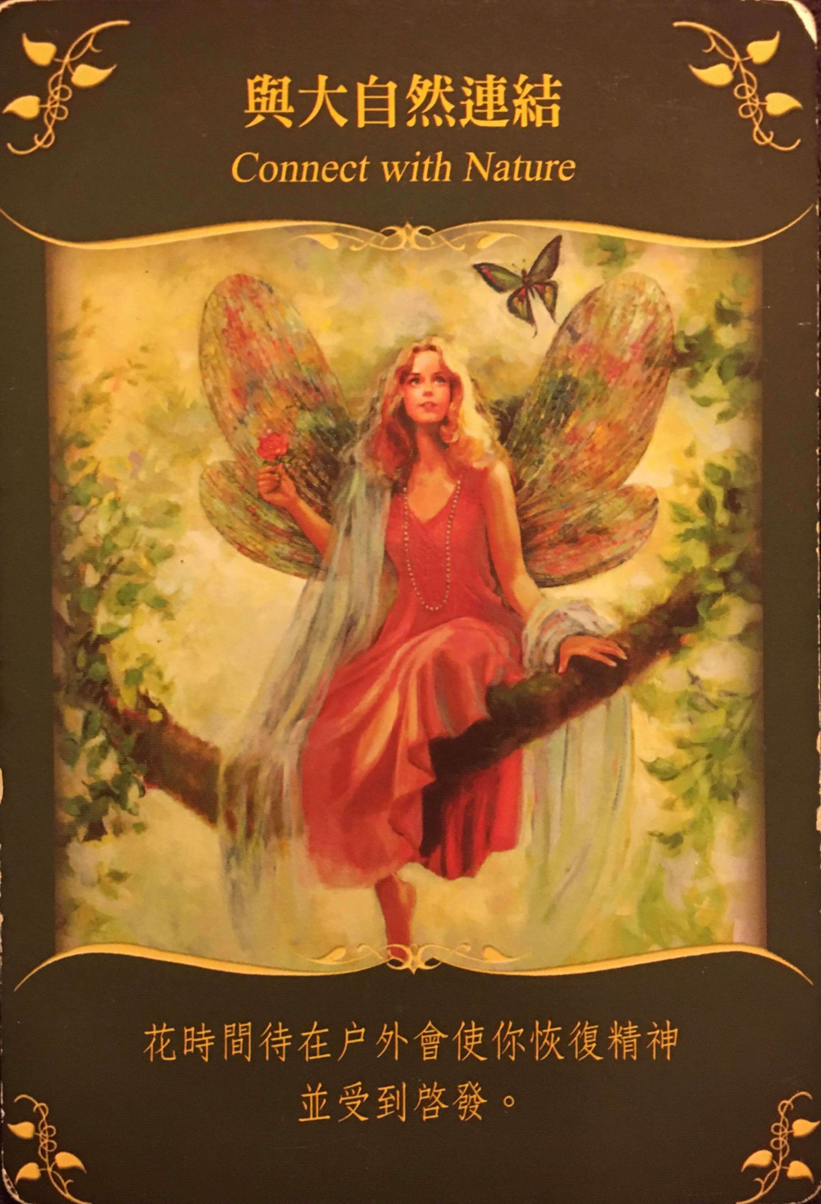 每週占卜/本週適合定目標!抽一張牌 測最近「該採取的行動」?