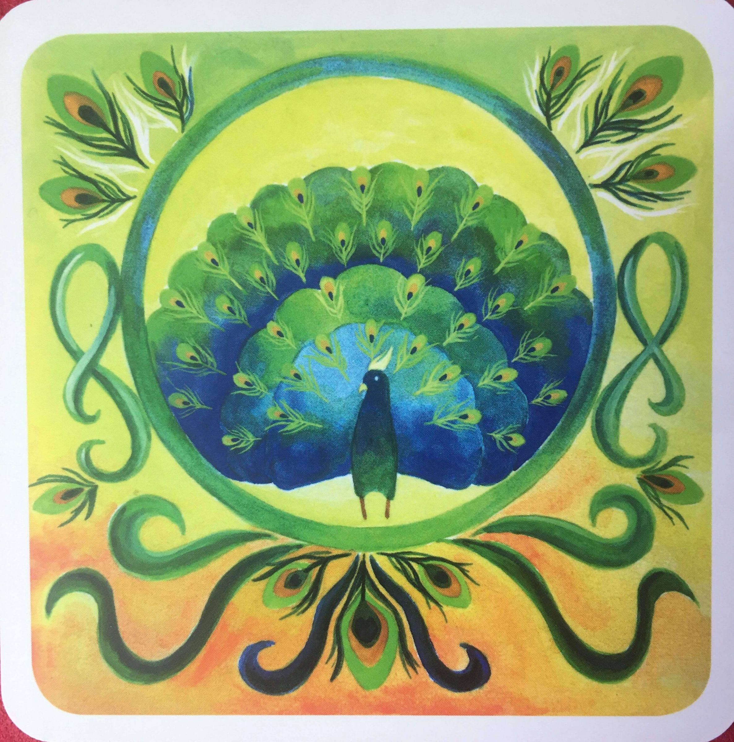 每週占卜／選一隻動物，測出目前的困境「我該怎麼做」？