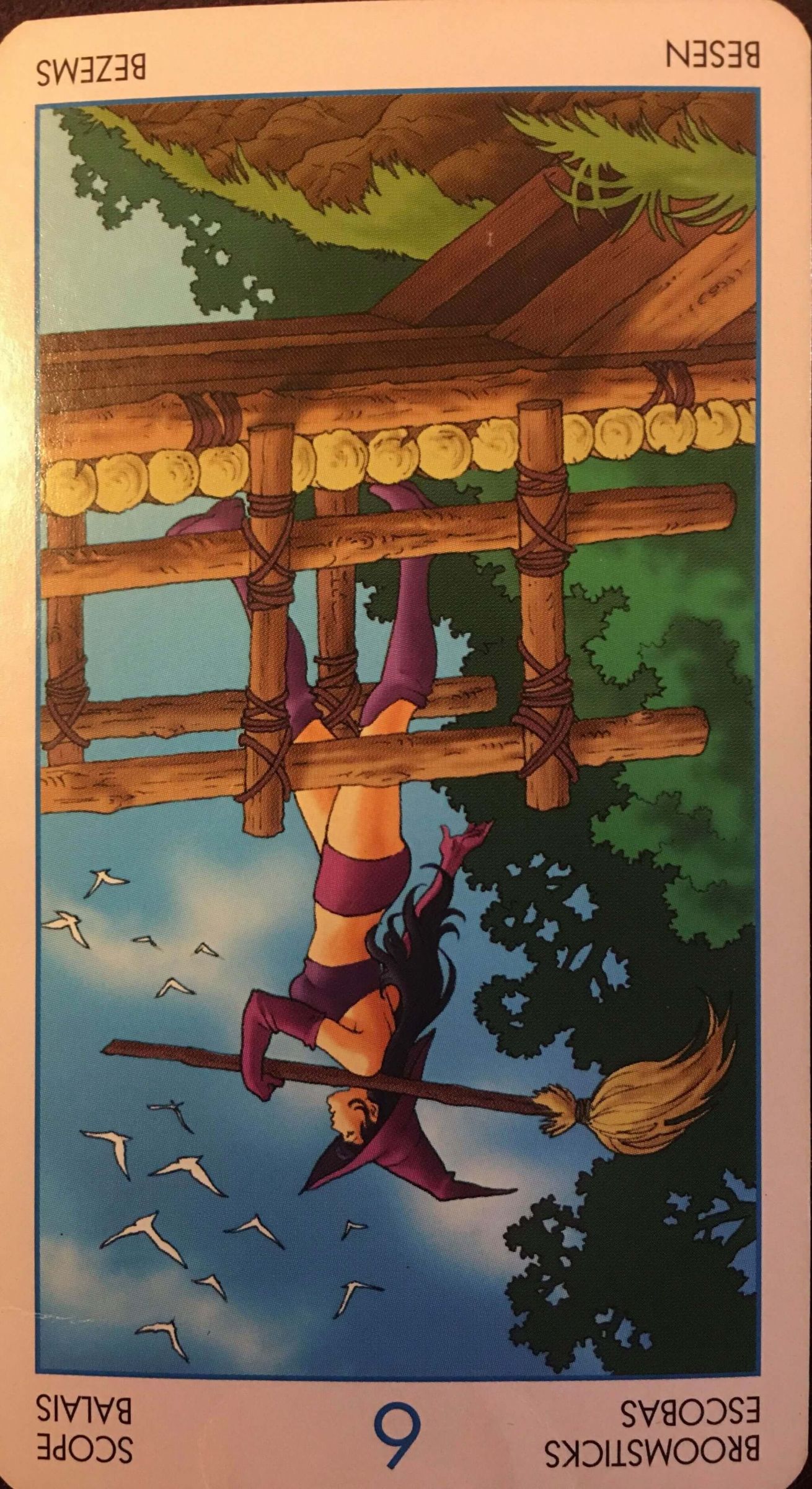 每週占卜/選一張牌 測未來三個月「人際關係該注意的事」?