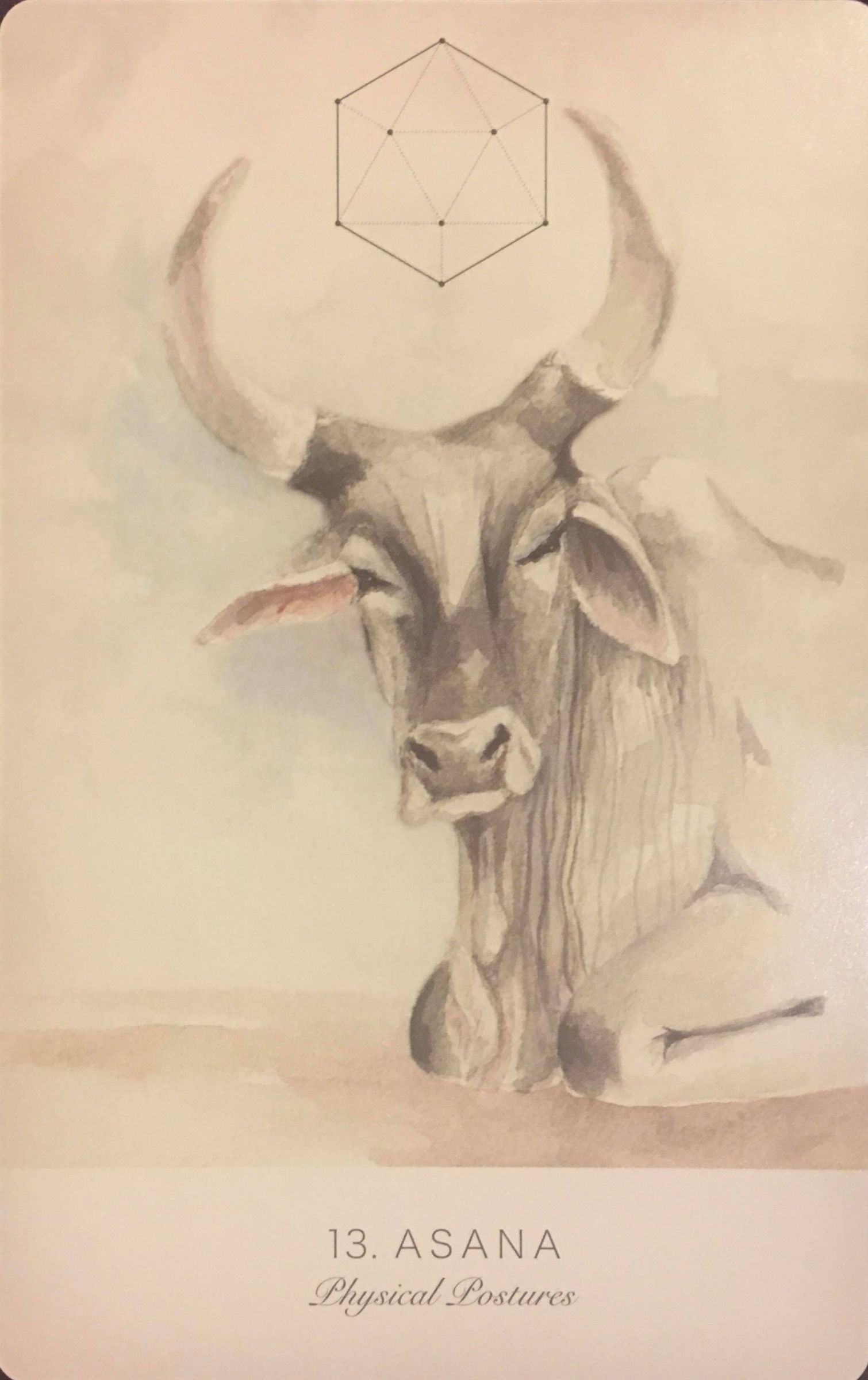 每週占卜／抽一張牌　測居家防疫時期「如何調節身心狀態」？