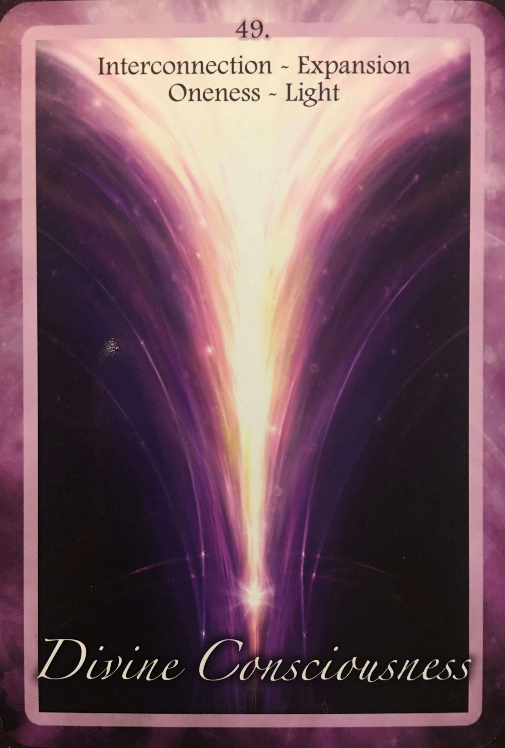 每週占卜/選一朵花 測未來三個月「該如何照顧自己」?