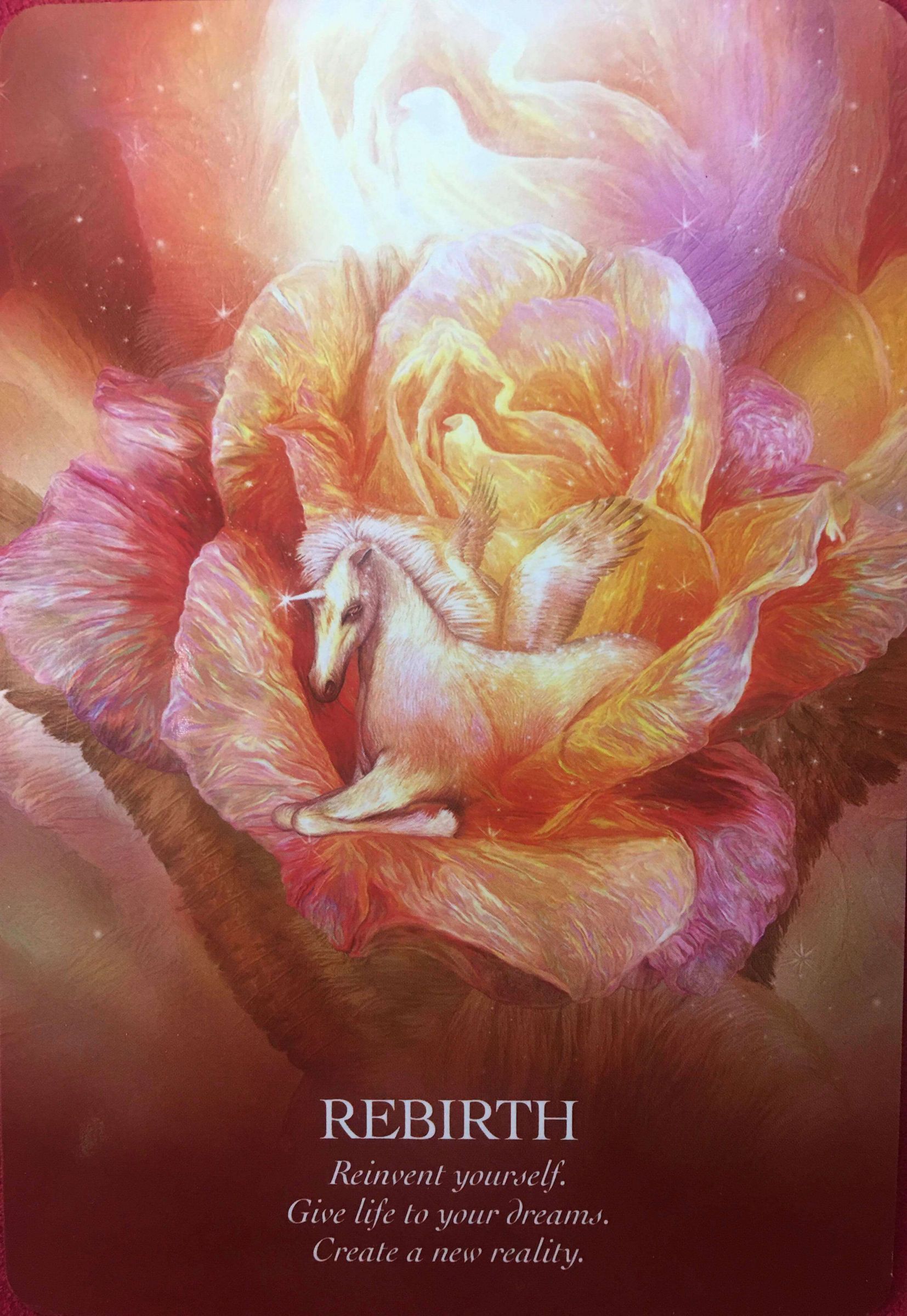 每週占卜/抽一張牌,測下半年獨角獸「帶來的祝福」?