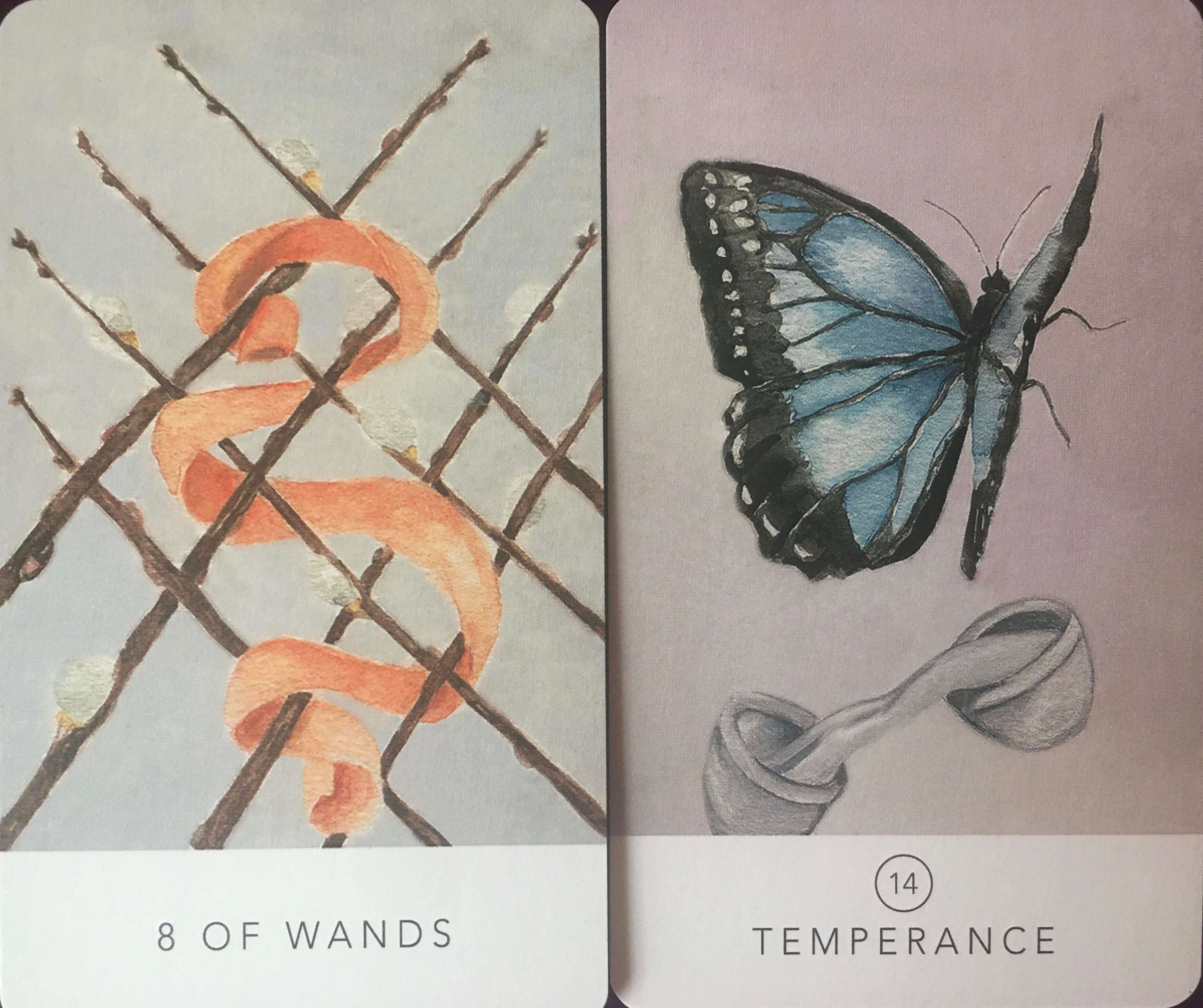 每週占卜／抽一組牌，測這段感情「最大的危機和轉機」是什麼？