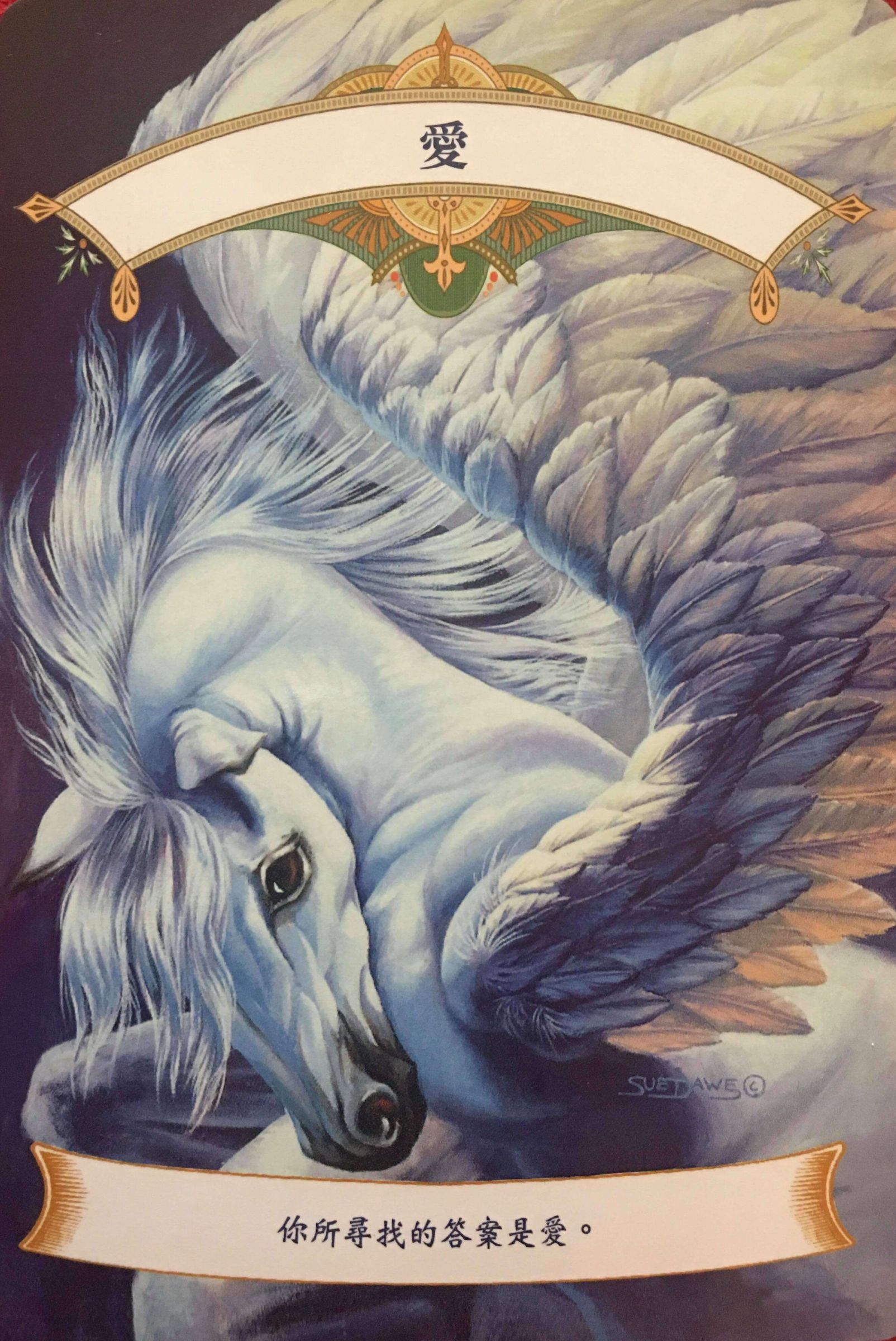 每週占卜／是否感到莫名的焦慮？抽一張牌　測獨角獸的「夏季祝福」！