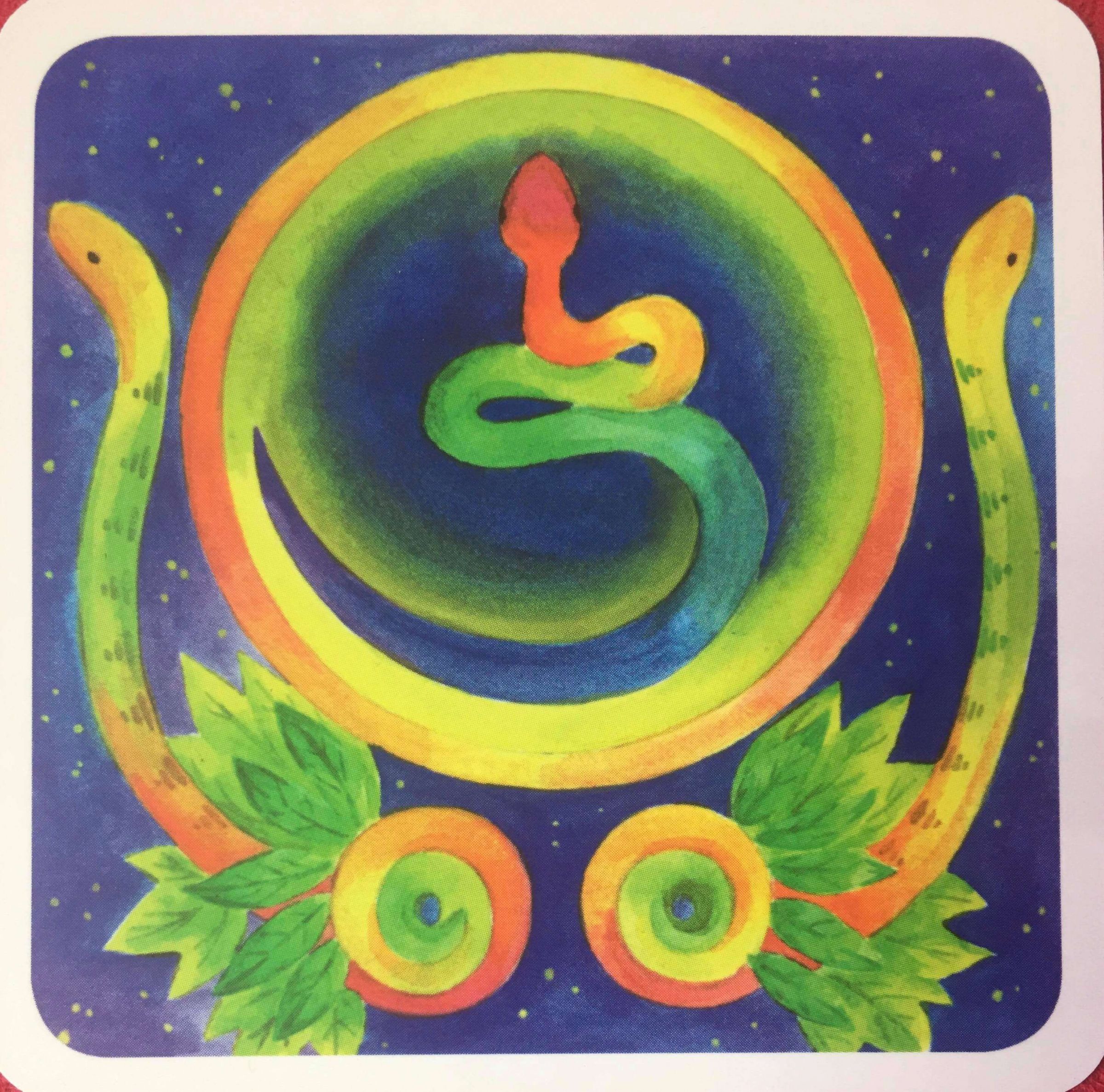 每週占卜／選一隻動物，測出目前的困境「我該怎麼做」？