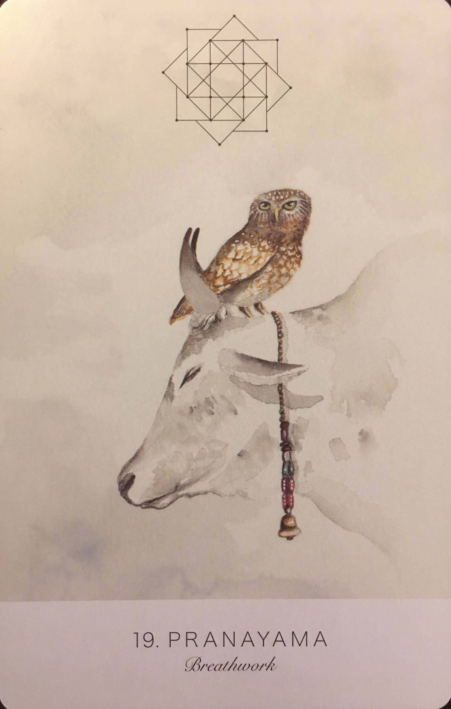 每週占卜/抽一張牌 測年底前該如何「調整身心狀態」?