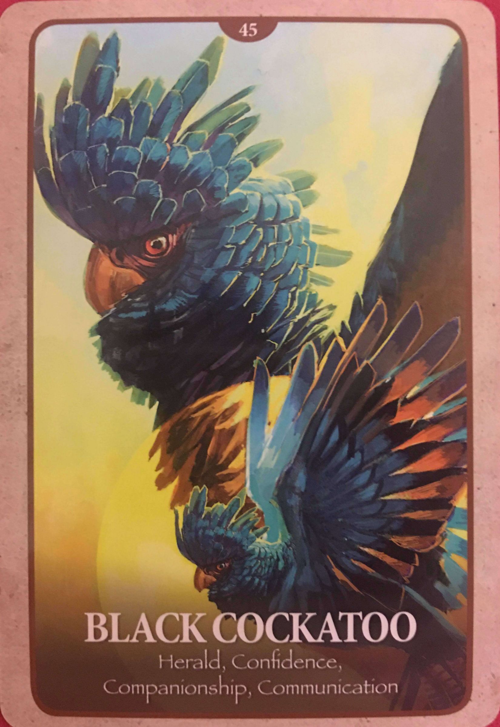 每週占卜/新年新氣象!測力量動物「送我的2021年關鍵詞」?