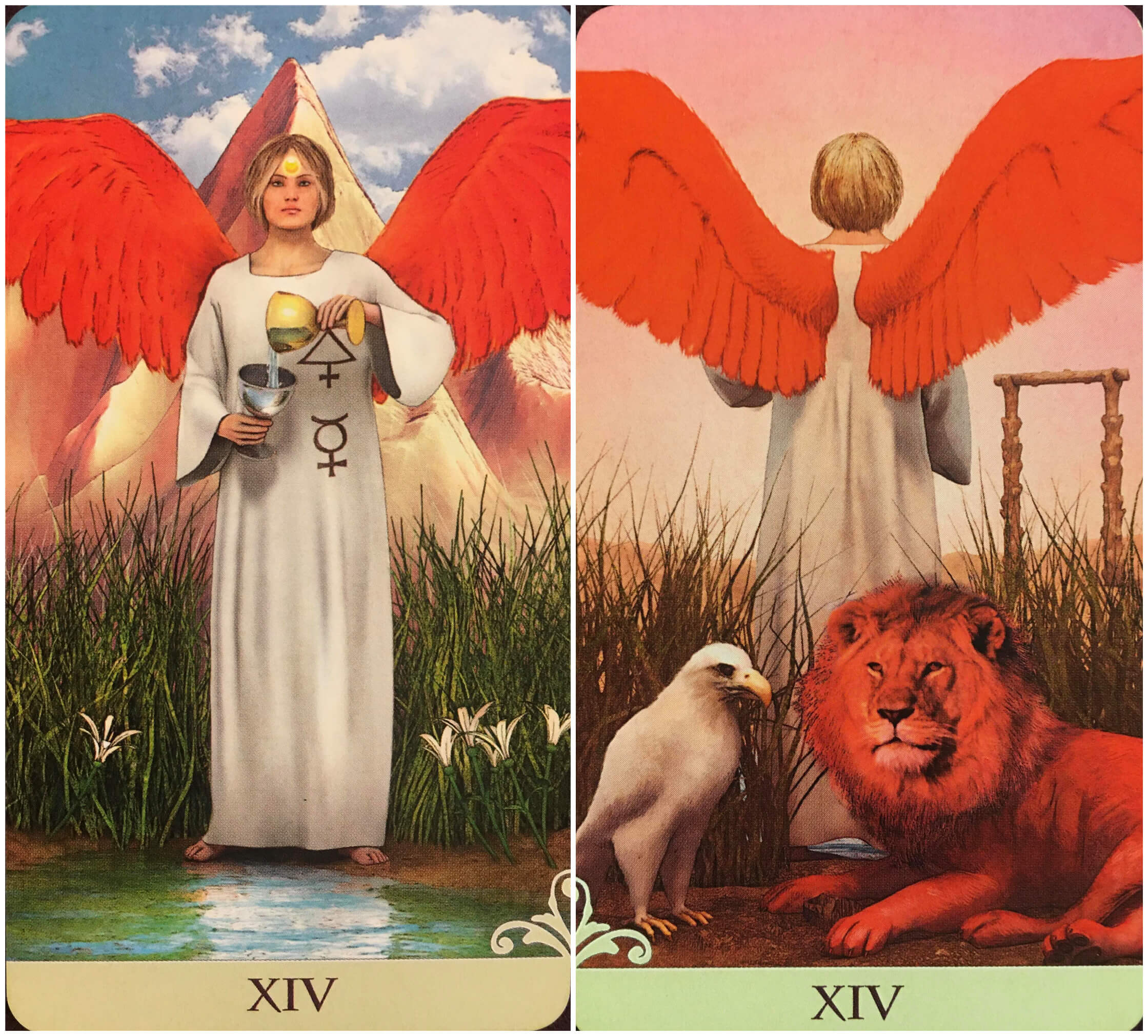 每週占卜／探測戀愛的可能性！選一張牌　測這段感情該繼續嗎？