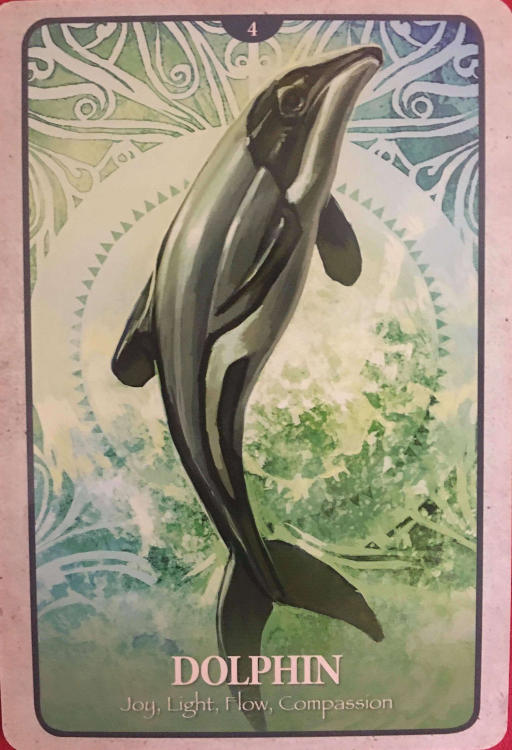 每週占卜/新年新氣象!測力量動物「送我的2021年關鍵詞」?