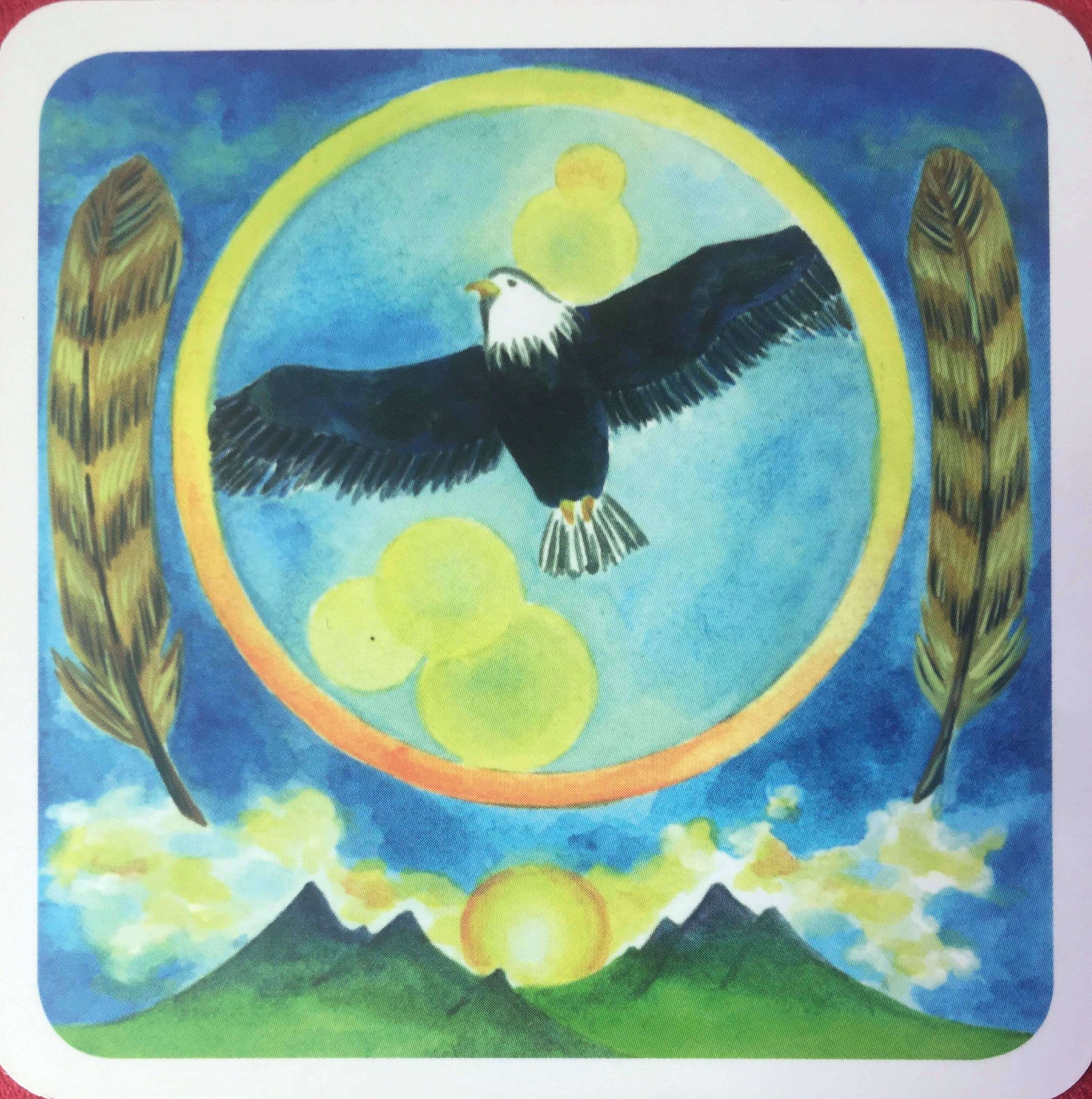 每週占卜／選一隻動物，測出目前的困境「我該怎麼做」？