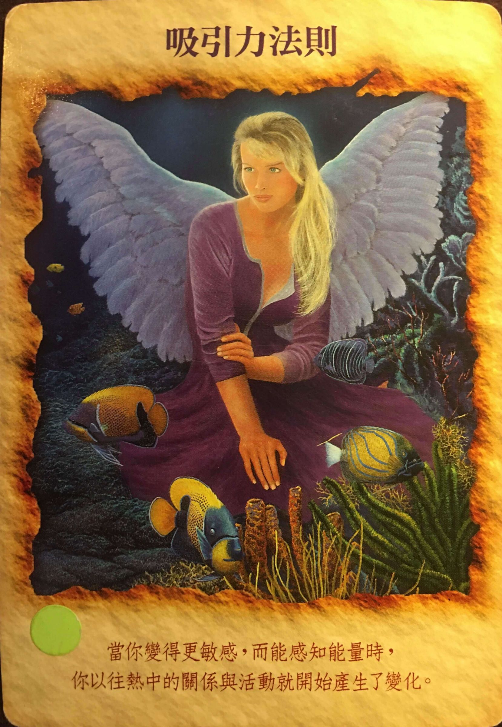 每週占卜／業力爆發！抽一張牌　測未來三個月「需要什麼療癒」？