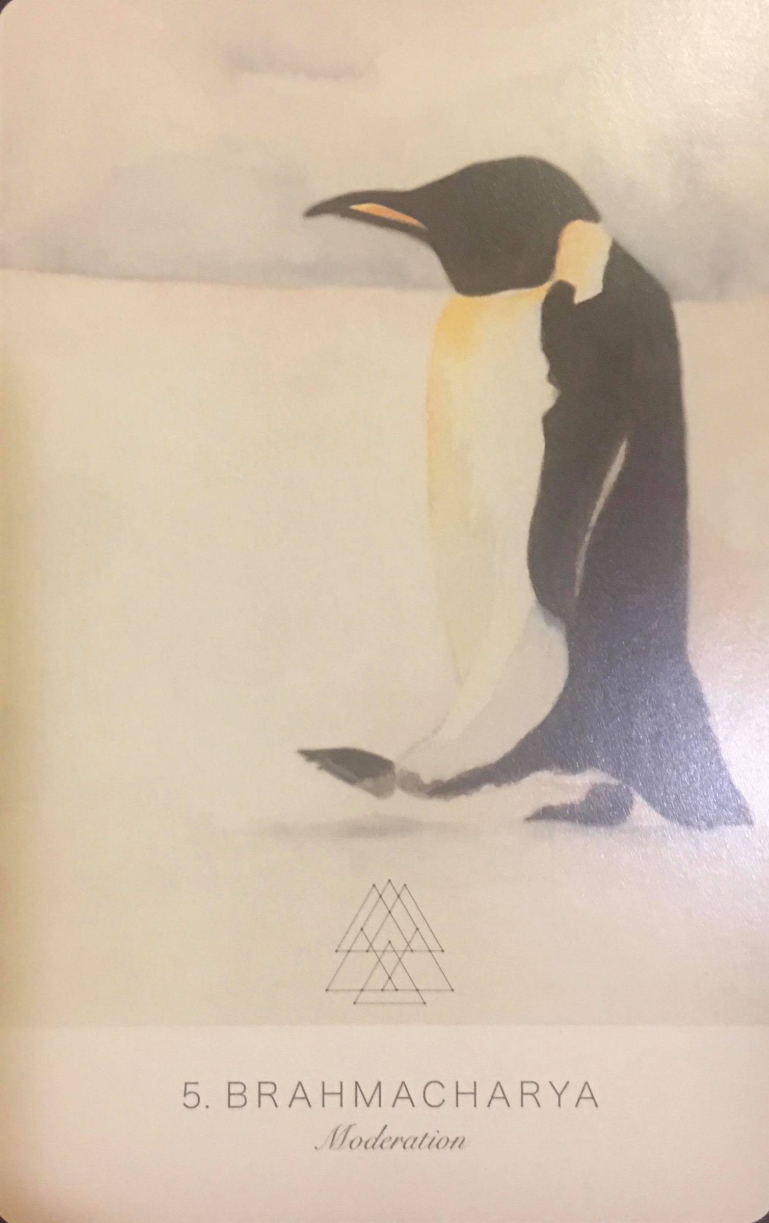 每週占卜／抽一張牌　測居家防疫時期「如何調節身心狀態」？