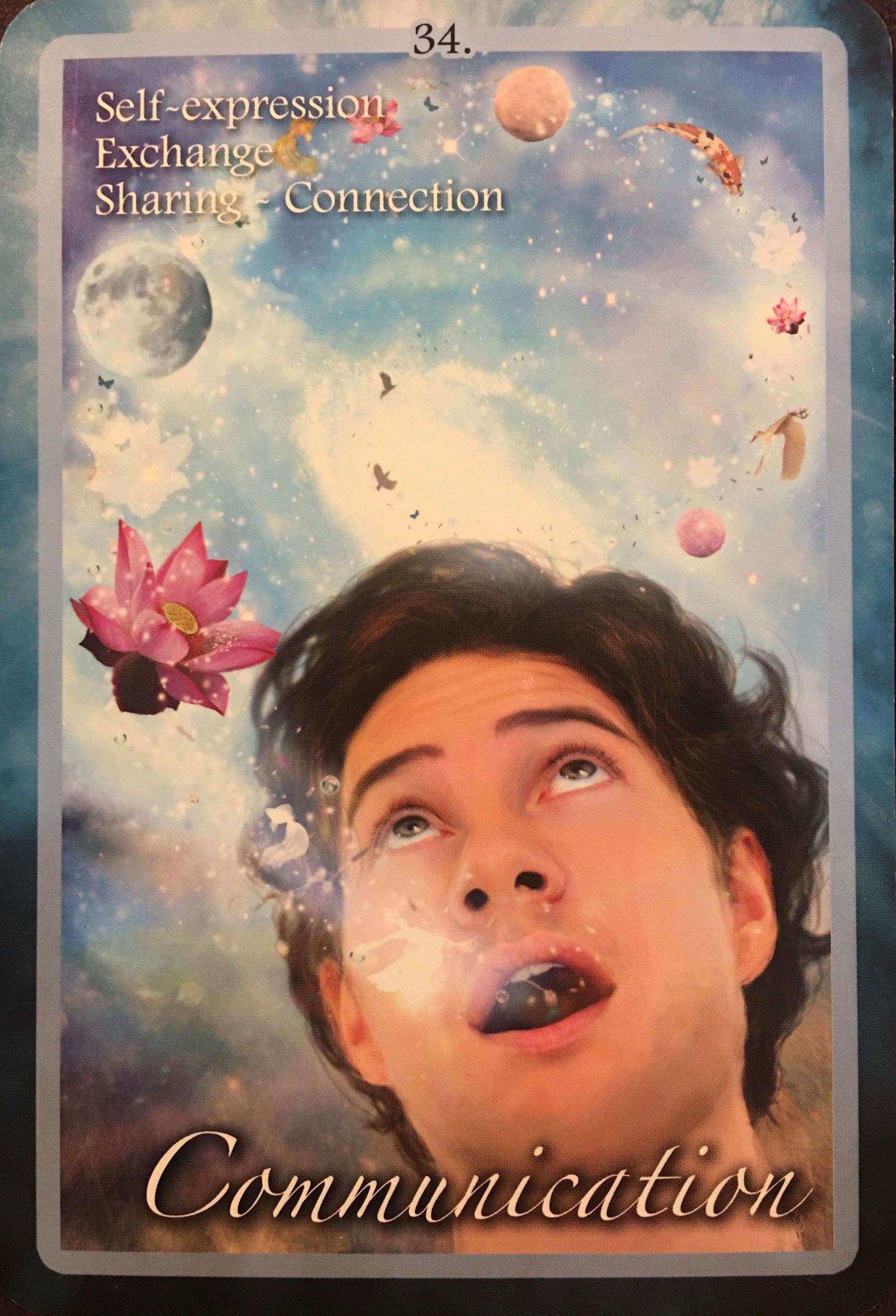 每週占卜/選一朵花 測未來三個月「該如何照顧自己」?