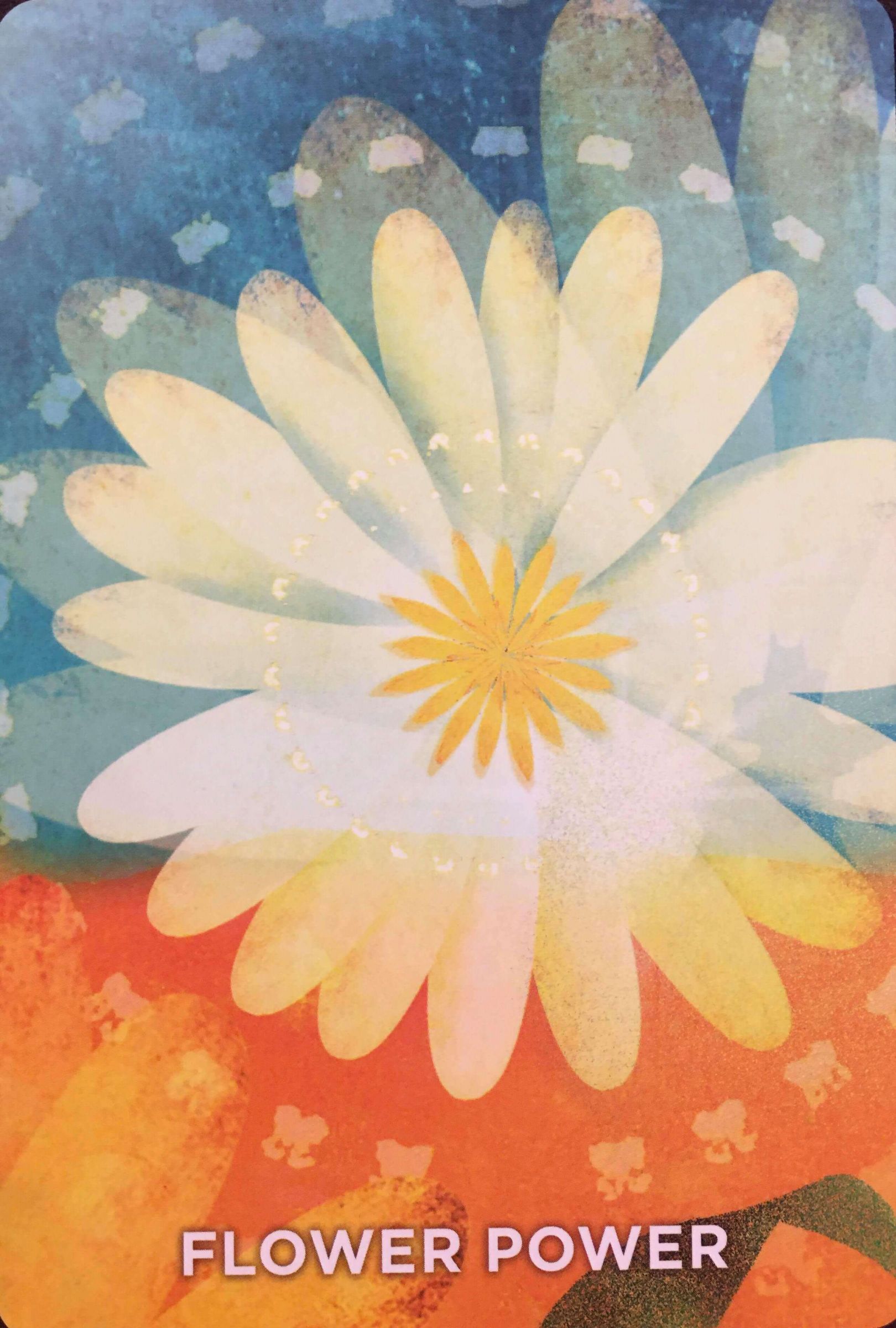 每週占卜／靜心選一張牌　測我的指導靈「想提醒我什麼事」？