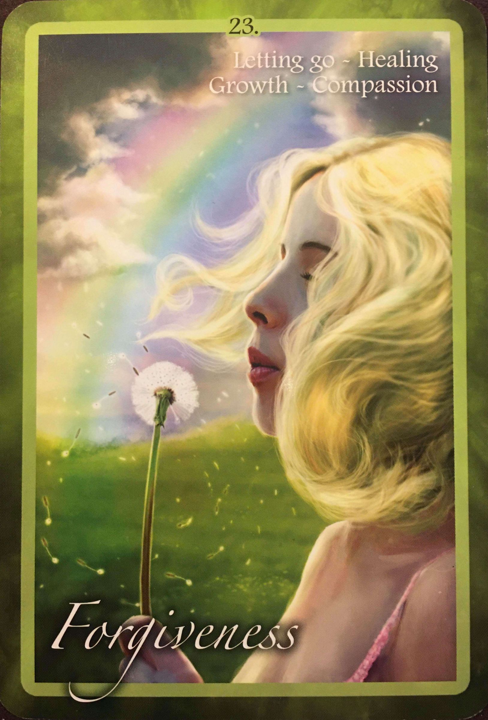 每週占卜/選一朵花 測未來三個月「該如何照顧自己」?