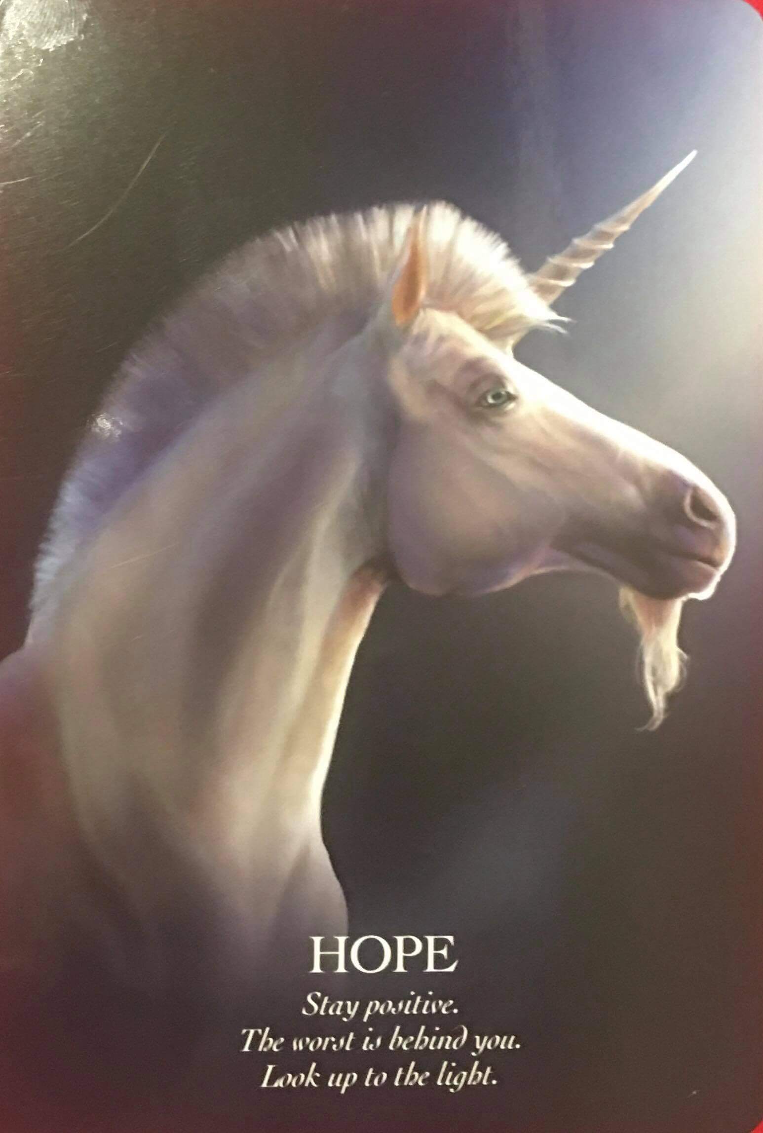 每週占卜/抽一張牌,測下半年獨角獸「帶來的祝福」?