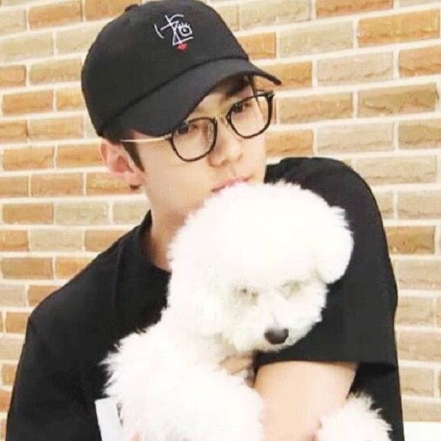 成功的迷妹！EXO世勳「為出書粉絲寫推薦詞」網友大讚：超感動