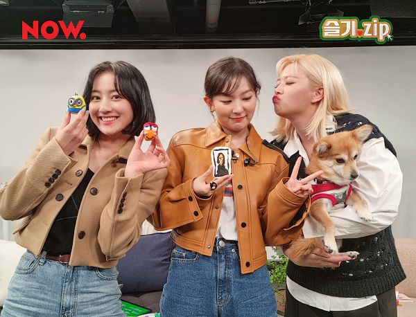 SM萬聖節派對惹人羨慕!TWICE想參加興奮問:我們可以去嗎?