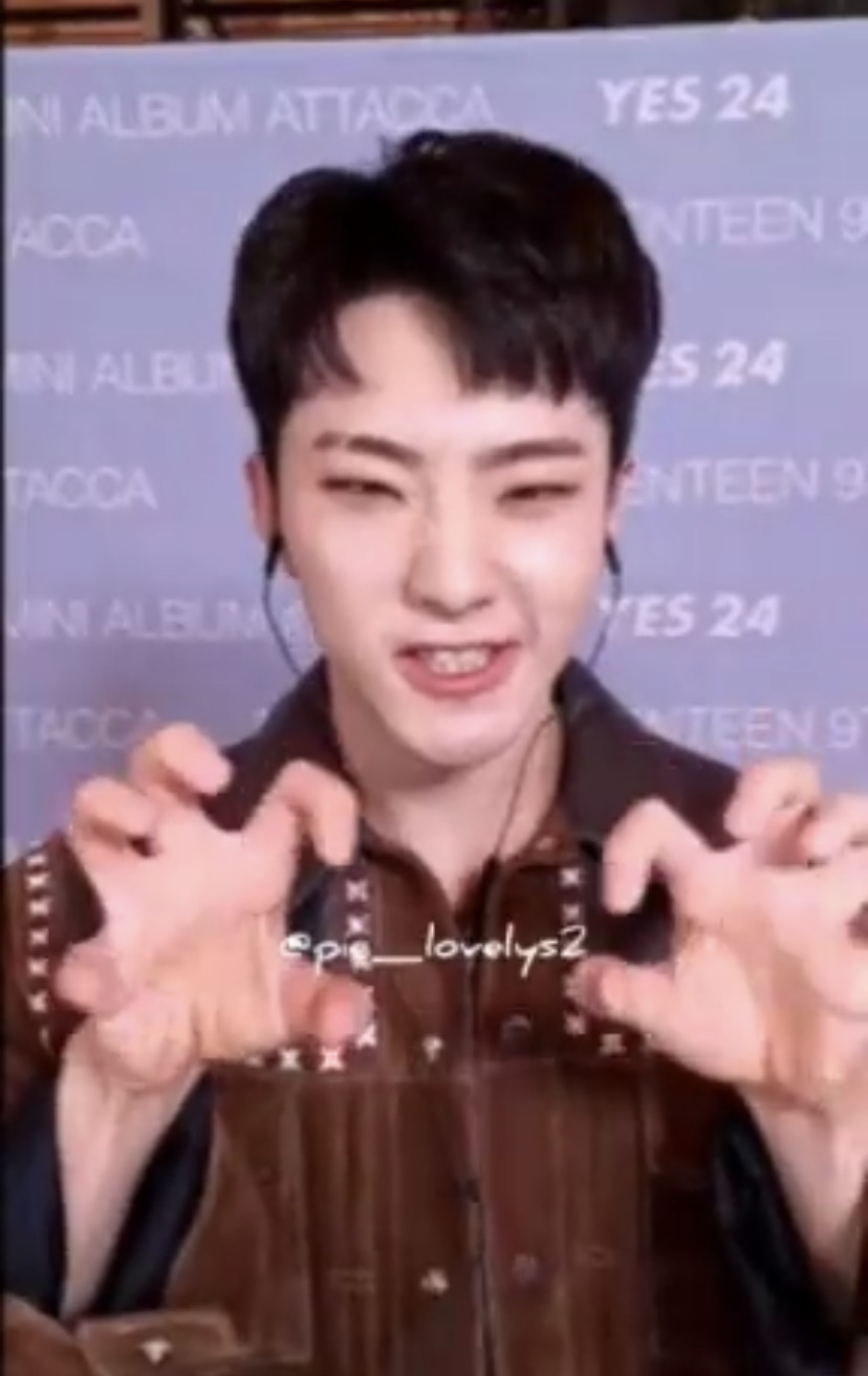 SEVENTEEN Hoshi簽售「虎叫」30秒！粉絲：好可愛