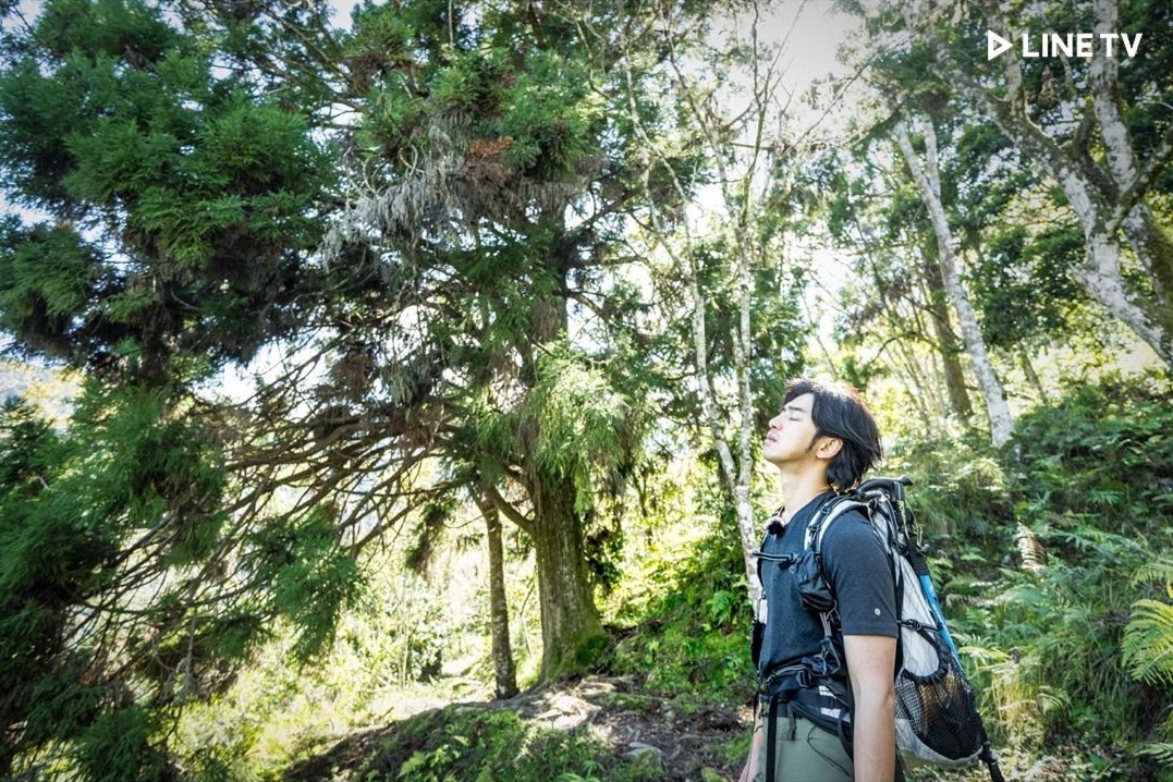 台綜《極島森林》7大看點：陳柏霖揪4明星露營！首集劉冠廷「被魚嚇呆」超圈粉