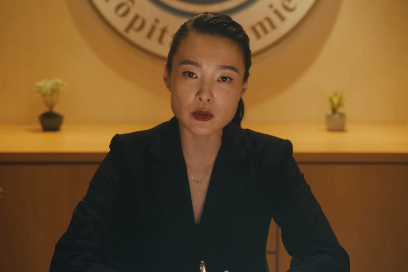 Netflix《村裡來了個暴走女外科》1-10分集劇情:小劉醫師故事太催淚!醫療議題引反思