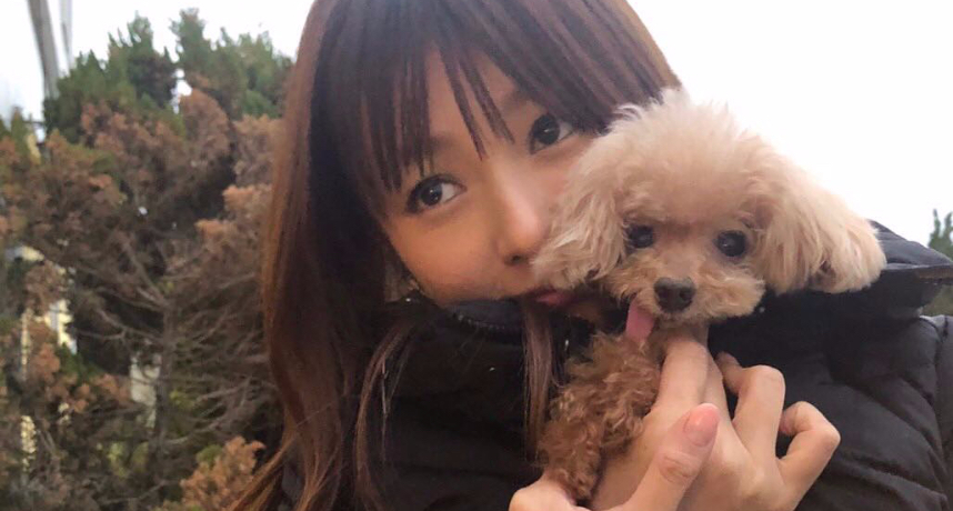 工作最重要!深田恭子熱戀地產大亨 簽婚前契約1年後吐心聲:不嫁了