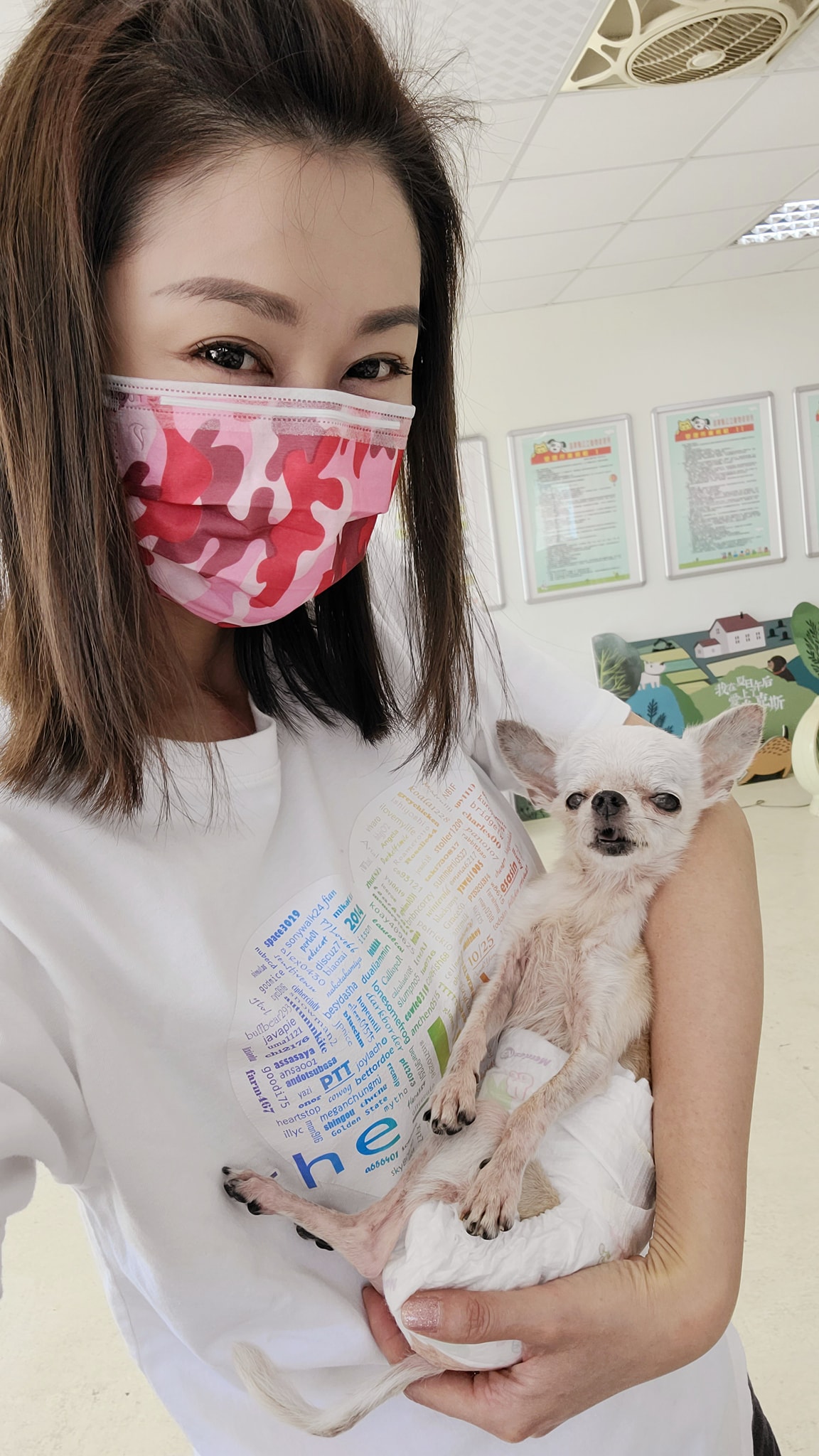 霸氣收編重病浪浪!陳珮騏送醫暖喊:讓妳過公主的日子