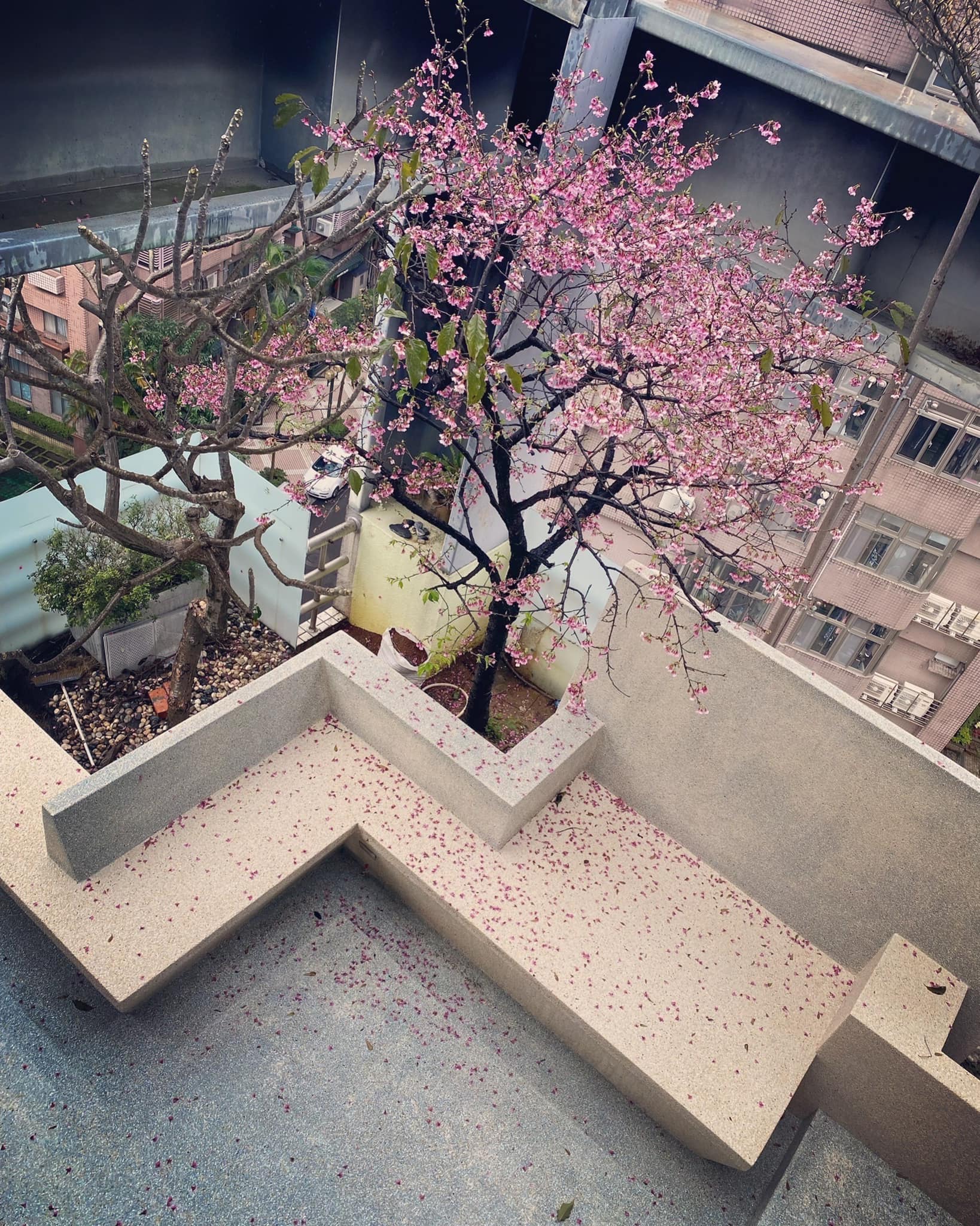 隋棠1.4億豪宅砍價剩8千多萬入手！「超奢華裝潢」全曝光　入住不到1年鬧翻鄰居