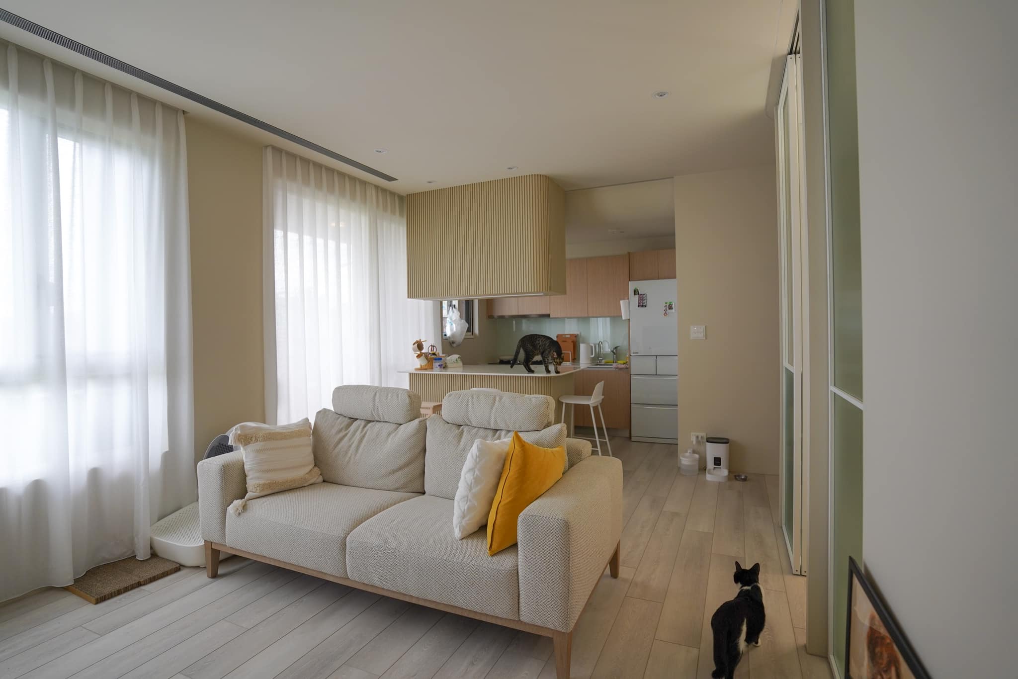 黃豪平購入32坪「精緻小屋」！親自打造日系木質空間　辦喬遷宴邀眾星：整晚笑不停