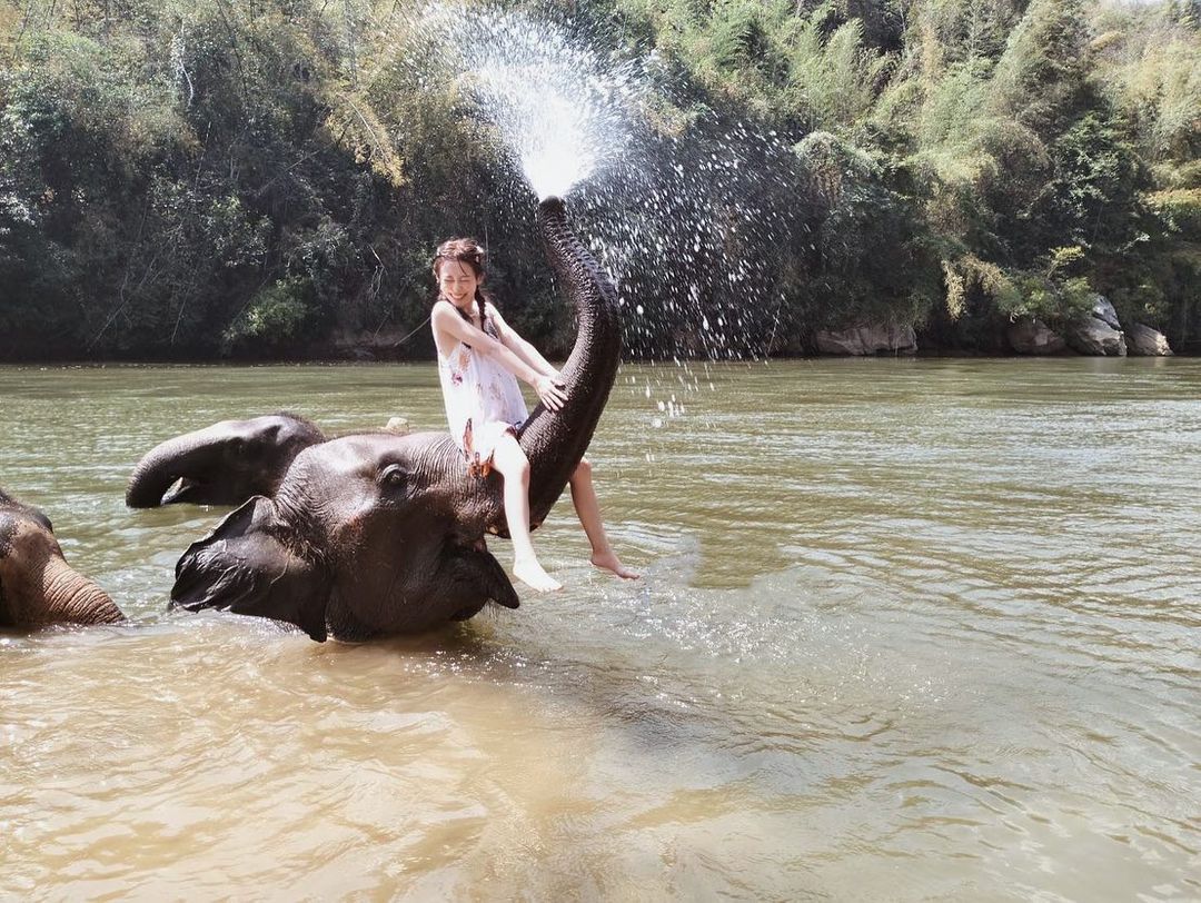 紀卜心泰國騎大象遭疑欺負動物！無奈澄清「非商業賺錢」：親自來一趟感受好嗎