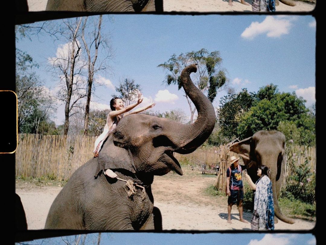 紀卜心泰國騎大象遭疑欺負動物！無奈澄清「非商業賺錢」：親自來一趟感受好嗎