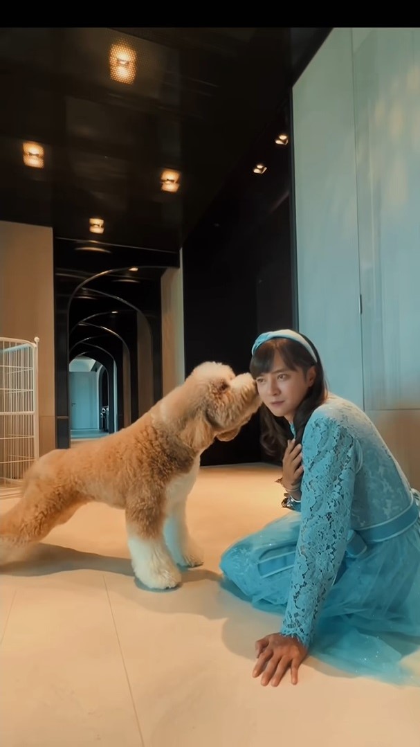 羅志祥扮朱碧石太驚悚！愛犬見狀「嚇歪漏尿」　傻眼狂問：我有這麼醜嗎？