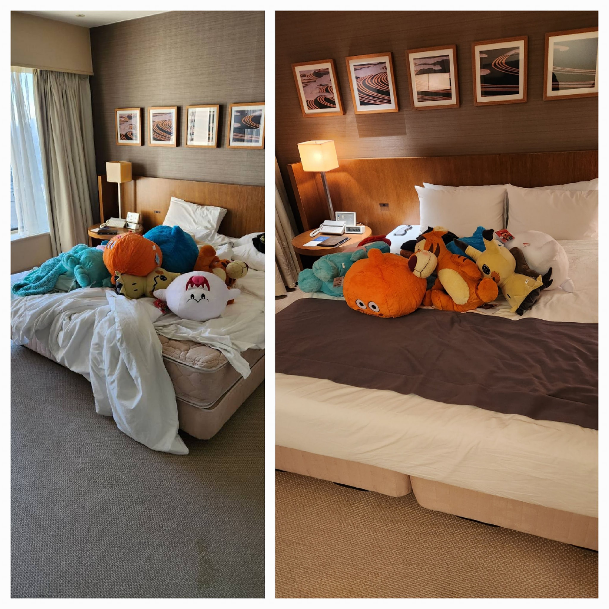 邵庭住日本飯店「期待1服務」被罵翻！她火速道歉：各位都不可以弄亂房間