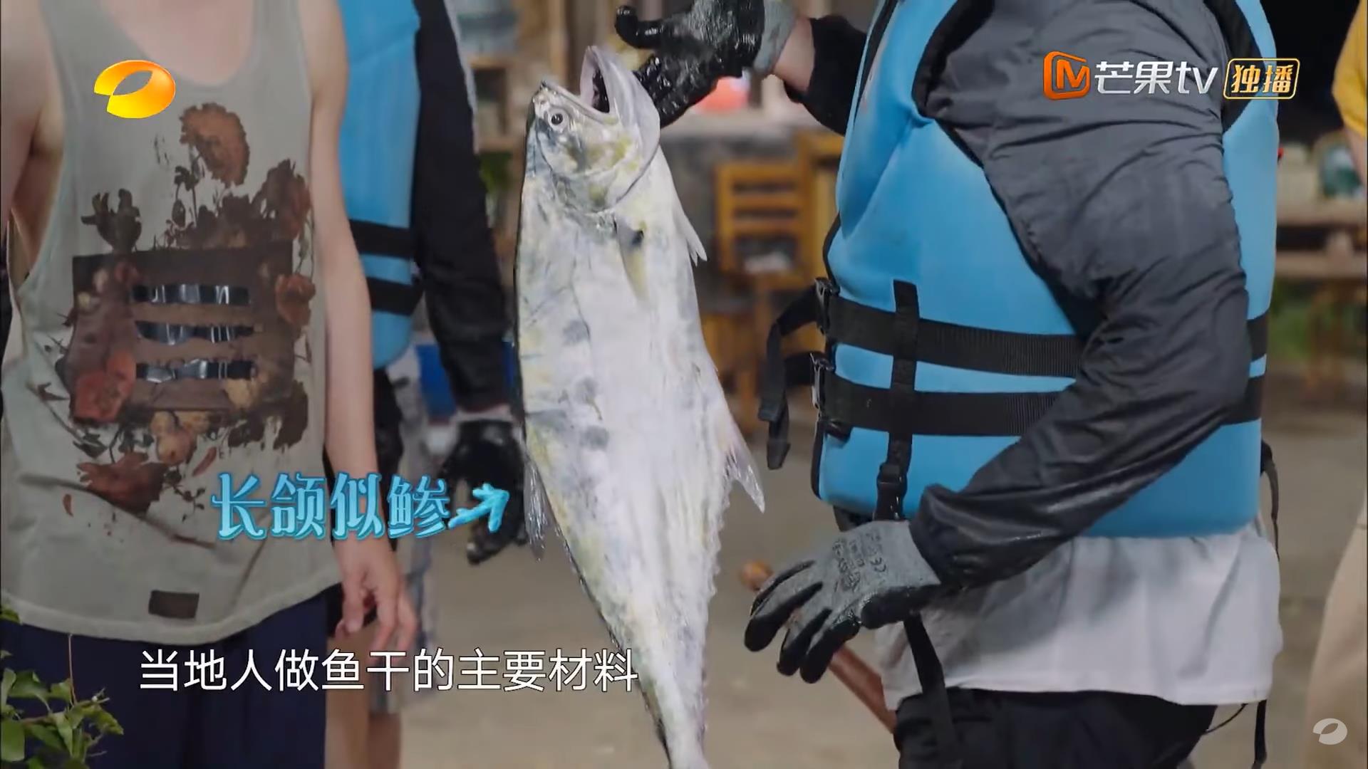 《嚮往的生活》爆造假!網轟「連捕魚畫面都要騙」 製作單位回應了