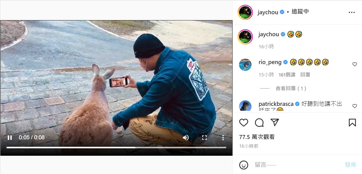 放新歌MV給袋鼠看!周杰倫「狂問牠心得」 網笑翻:好想當那隻袋鼠呀
