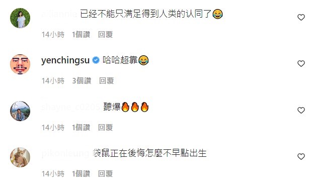 放新歌MV給袋鼠看!周杰倫「狂問牠心得」 網笑翻:好想當那隻袋鼠呀