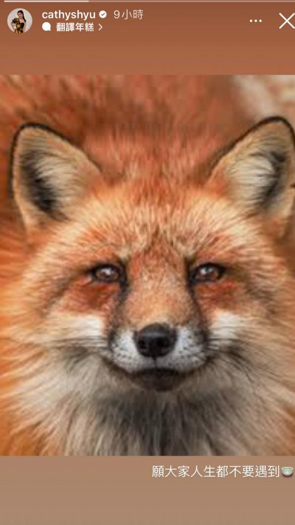 介入陳零九10年感情？篠崎泫疑遭「3狼人殺女神點名」：狐狸精最討厭