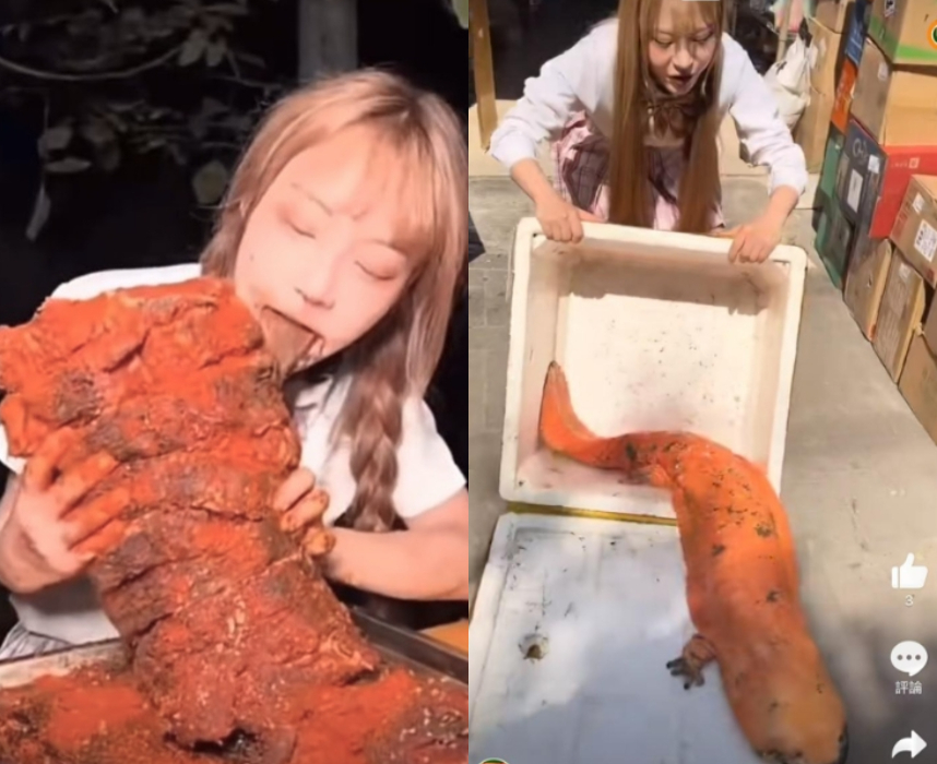 百萬網紅爆怪食癖！解剖尖齒鯊「惡魔進食」遭舉報砲轟：被她噁心到吐了