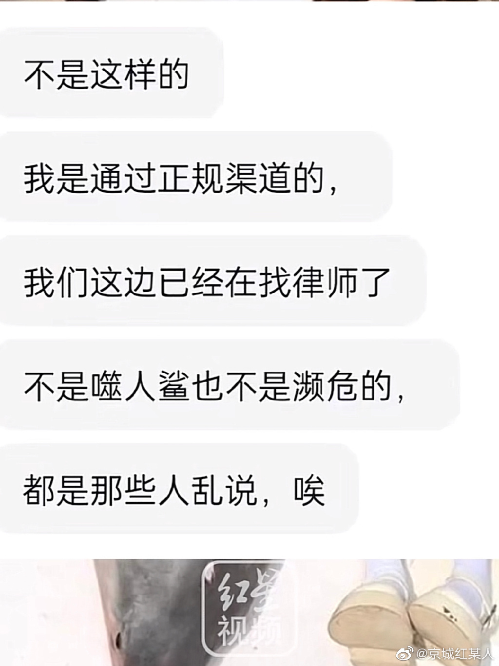 百萬網紅爆怪食癖！解剖尖齒鯊「惡魔進食」遭舉報砲轟：被她噁心到吐了
