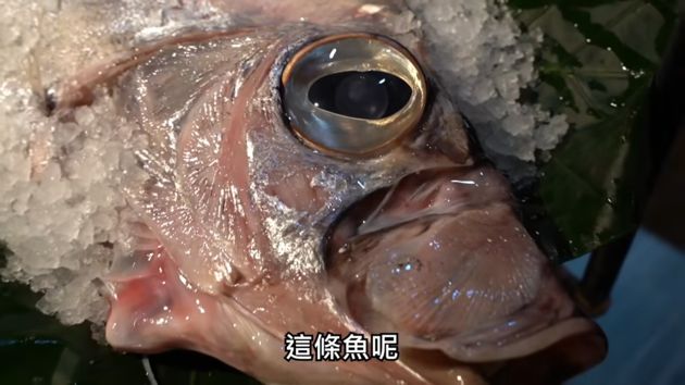 清蒸海王類!Toyz大啖「深海地震魚」口感超噁:吃起來像鼻涕