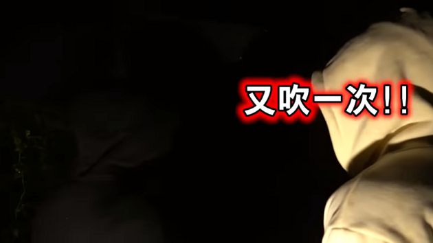 上山講鬼故事!瘋男遇「吹狗螺」下秒頭暈 網一看超毛:旁邊有顆人頭