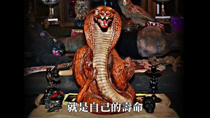 靈異博物館!華倫夫婦「10大邪惡物品」收藏 隨便碰觸恐遭不幸