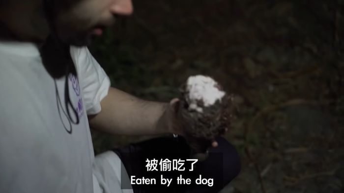 台灣森林野外求生!唯一食物慘遭「野狗偷吃」 網紅崩潰了