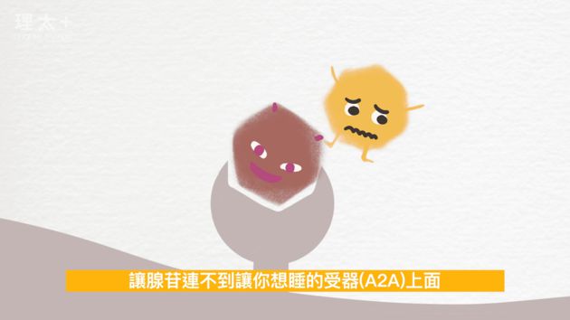 不喝就頭痛!理科太太揭「咖啡戒斷症狀」原因 網:剛戒超難受