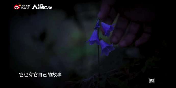 千萬人都想娶！李子柒「首度曝光拍片過程」　「私下真實個性」一併公開！